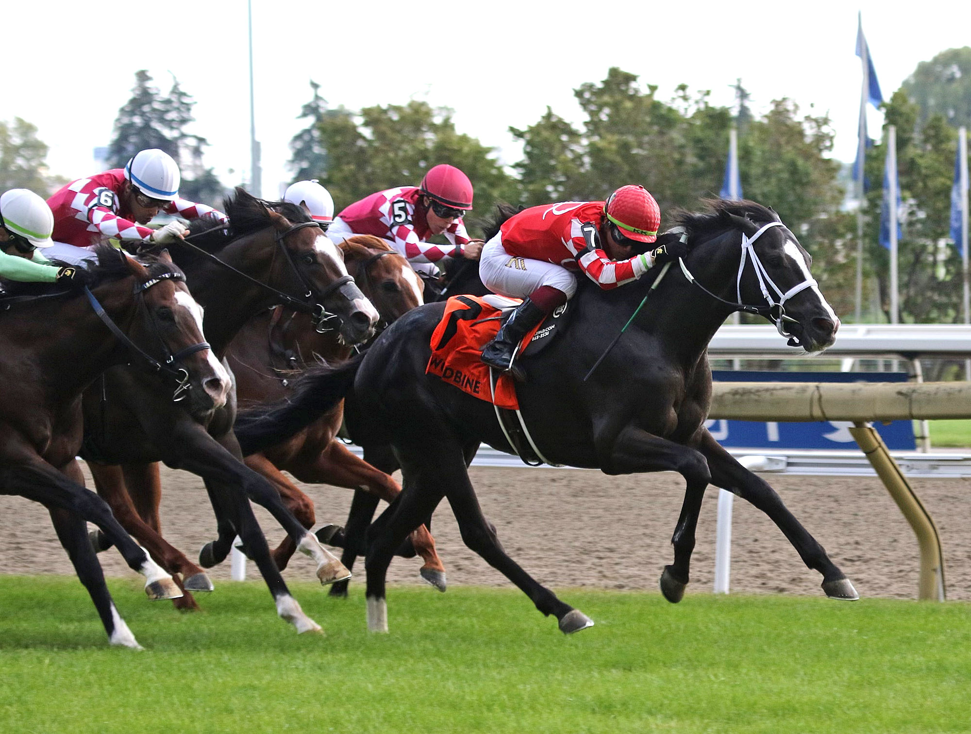 Philip My Dear wins the Soaring Free Stakes at Woodbine Aug 20 2022