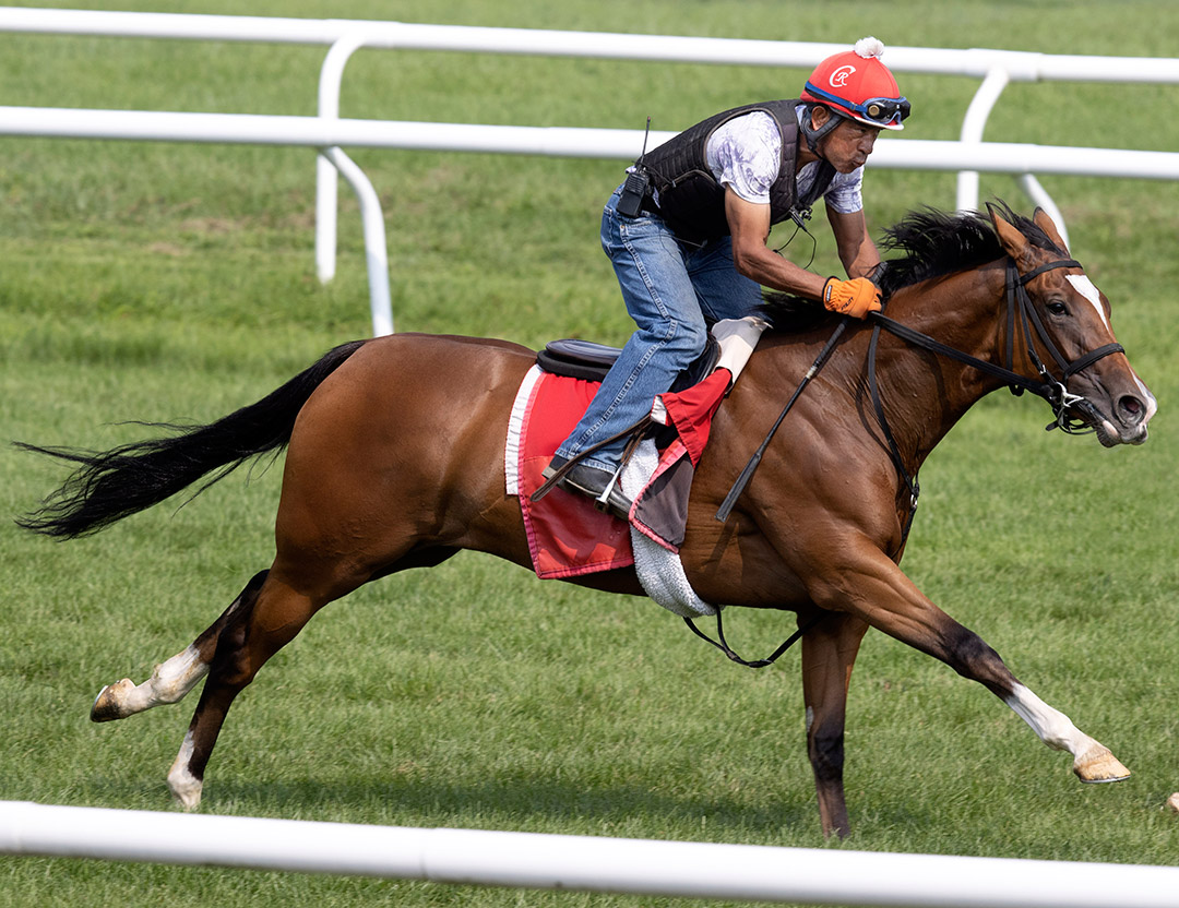 Philly Eagles trains at Saratoga Race Course on Aug. 8