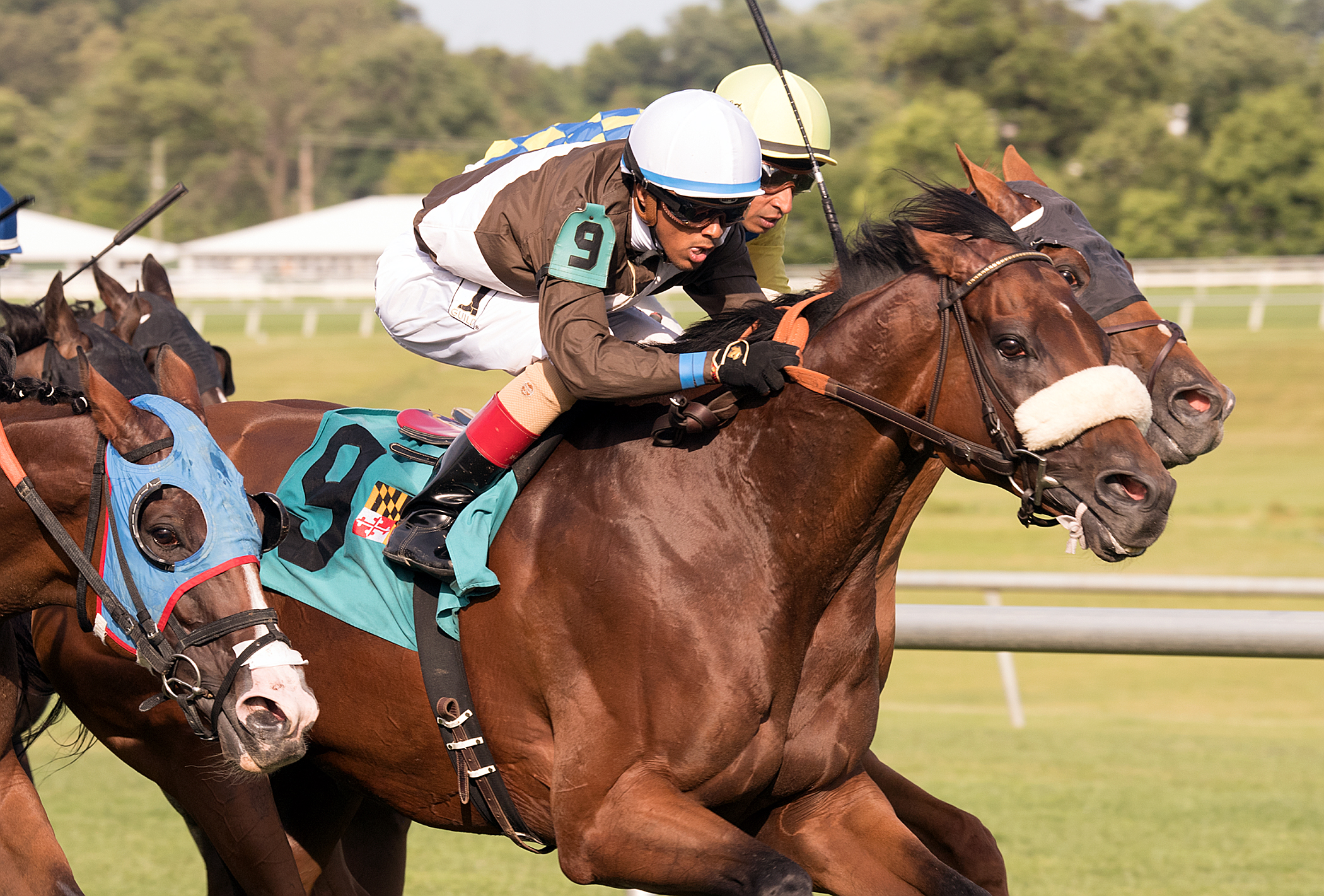 Phlash Phelps wins the Mister Diz Stakes