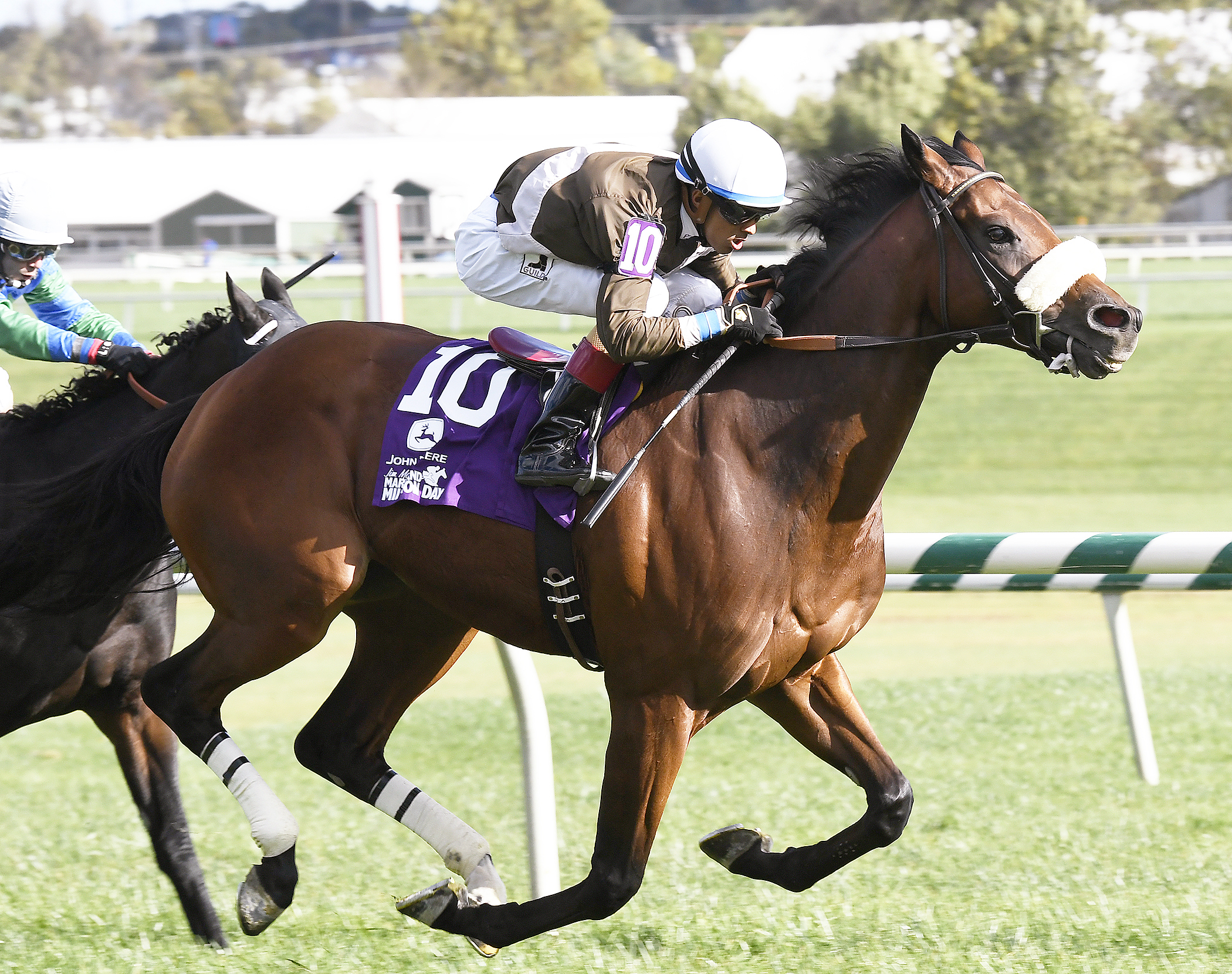 Phlash Phelps wins the Maryland Million Turf Stakes
