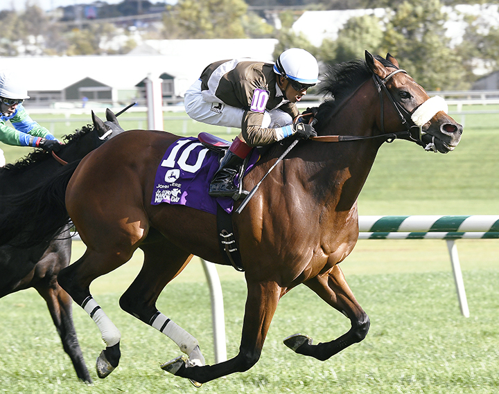 Phlash Phelps wins the 2016 Maryland Million Turf