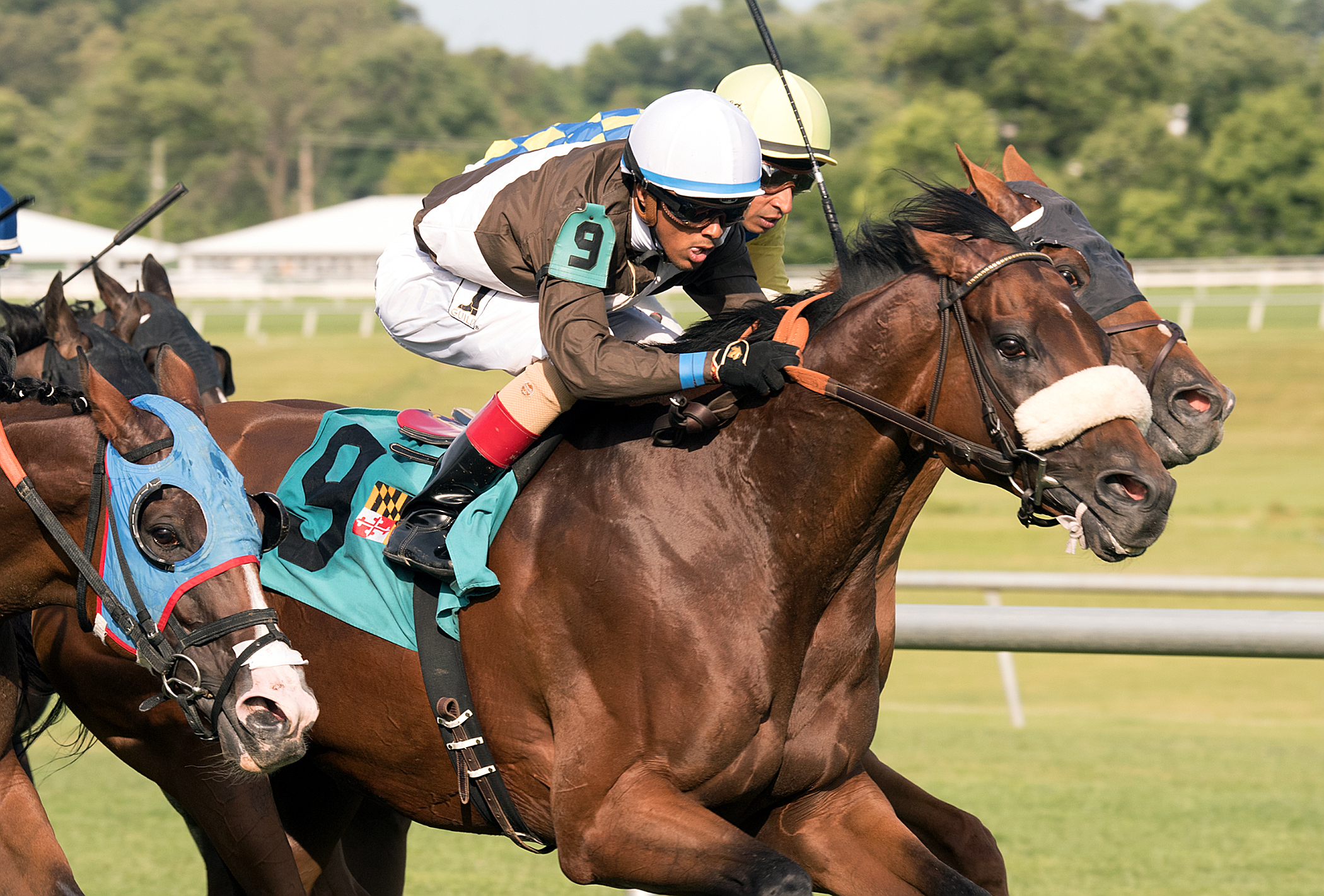 Phlash Phelps wins the 2017 Mister Diz Stakes