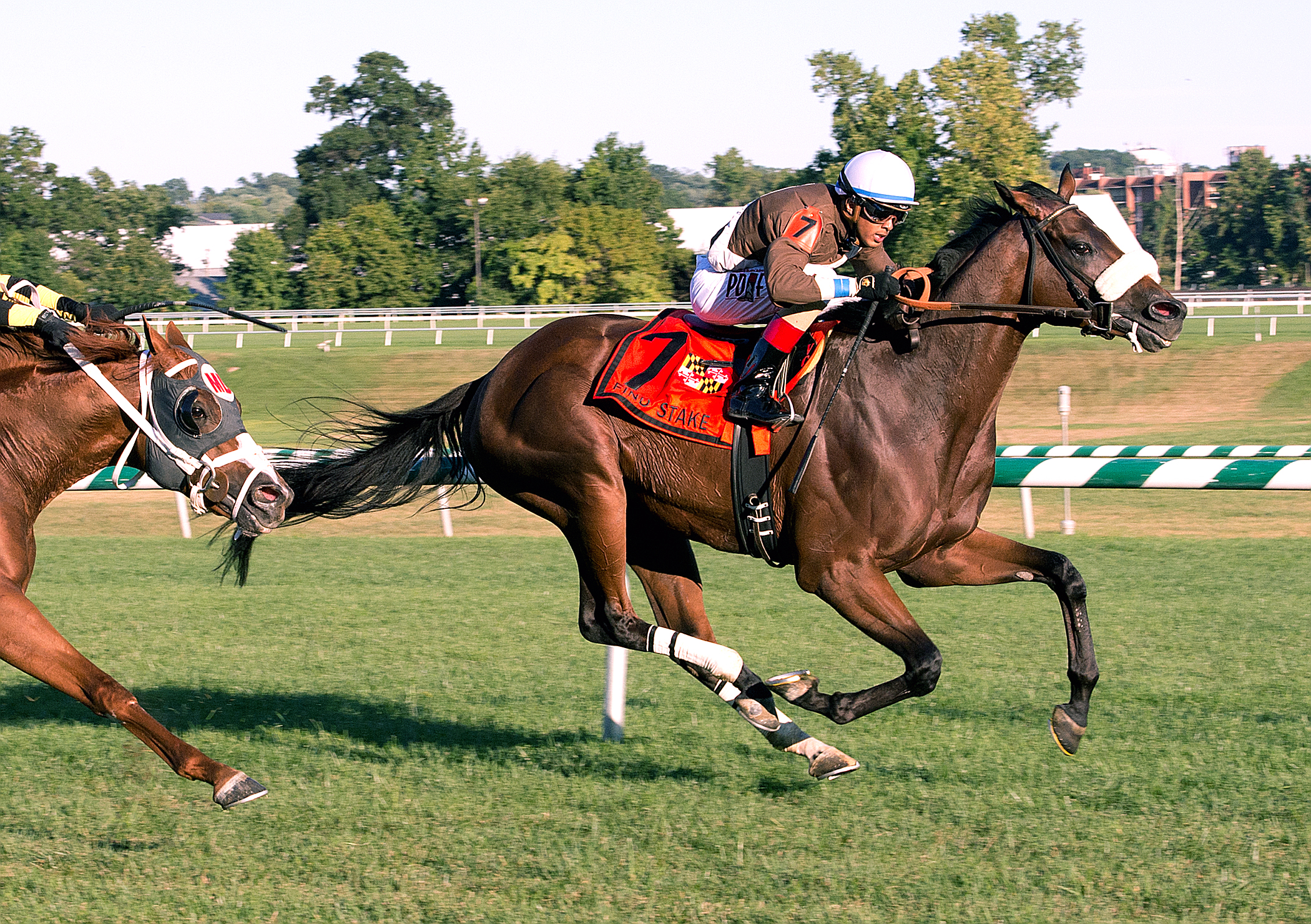 Phlash Phelps wins the Find Stakes