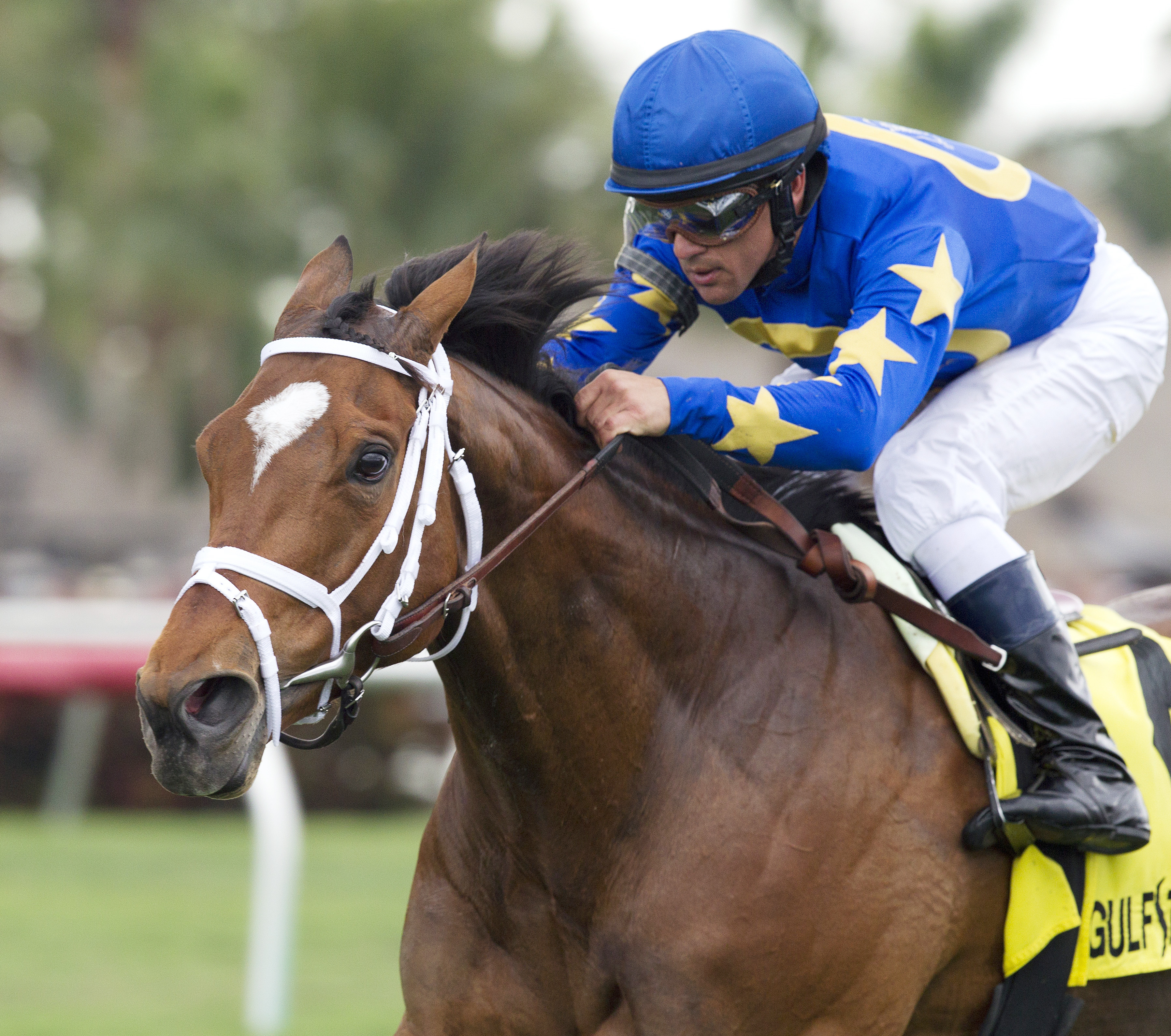 Photo Call wins the Orchid Stakes