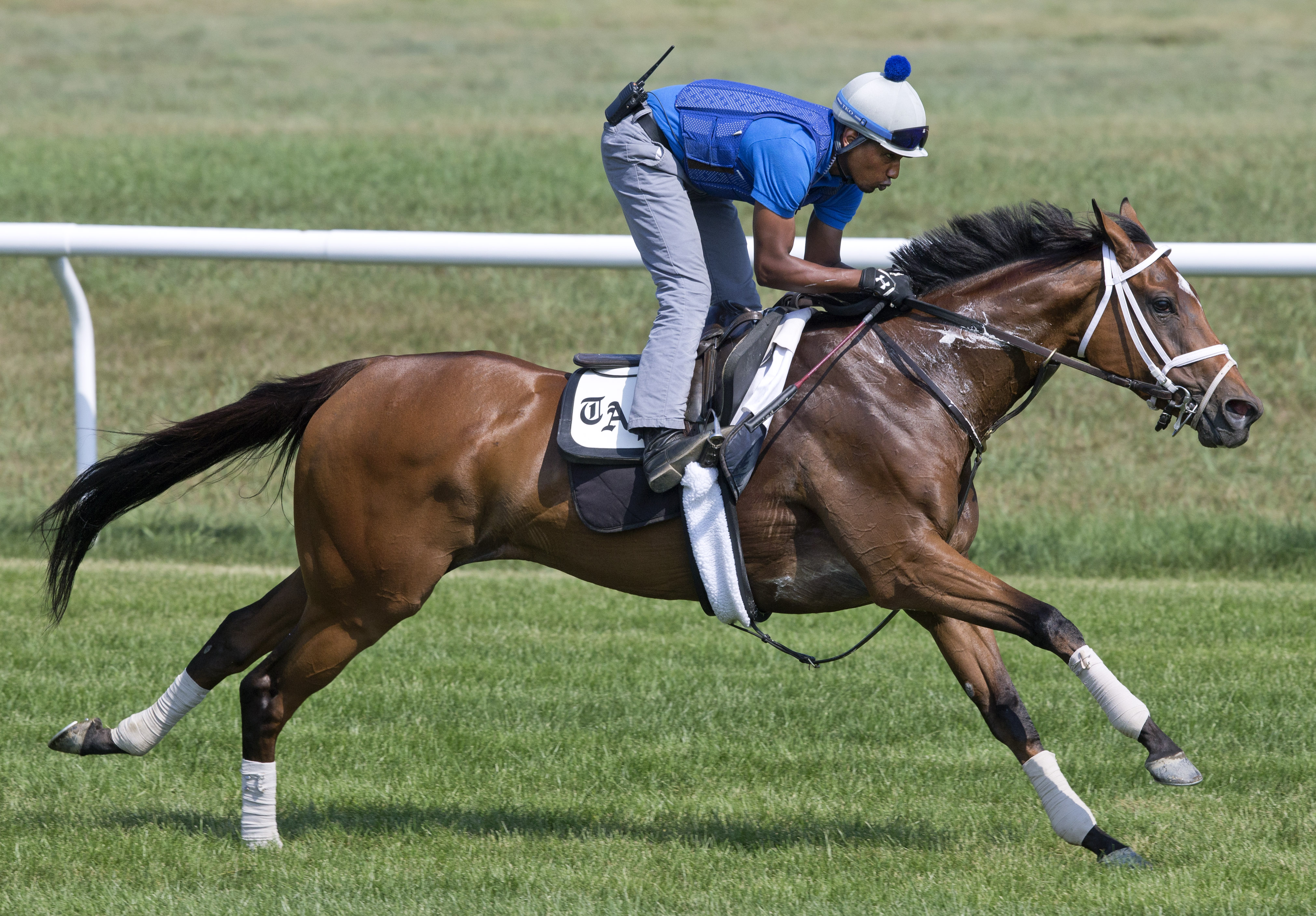 Photo Call trains at Saratoga on July 29