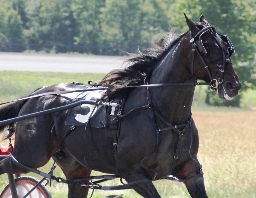Photobombr Hanover