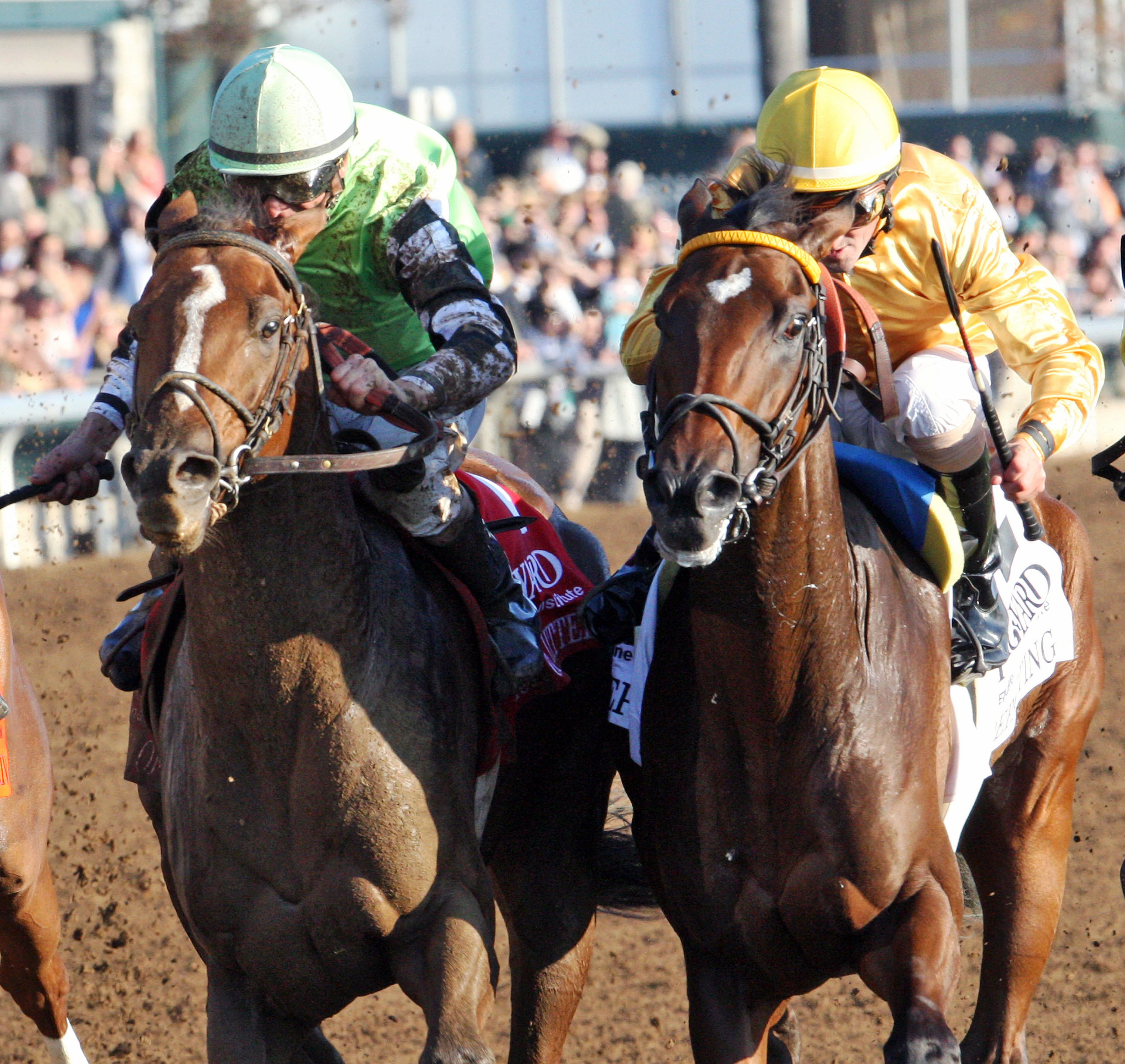 Departing finishes second in the Hagyard Fayette
