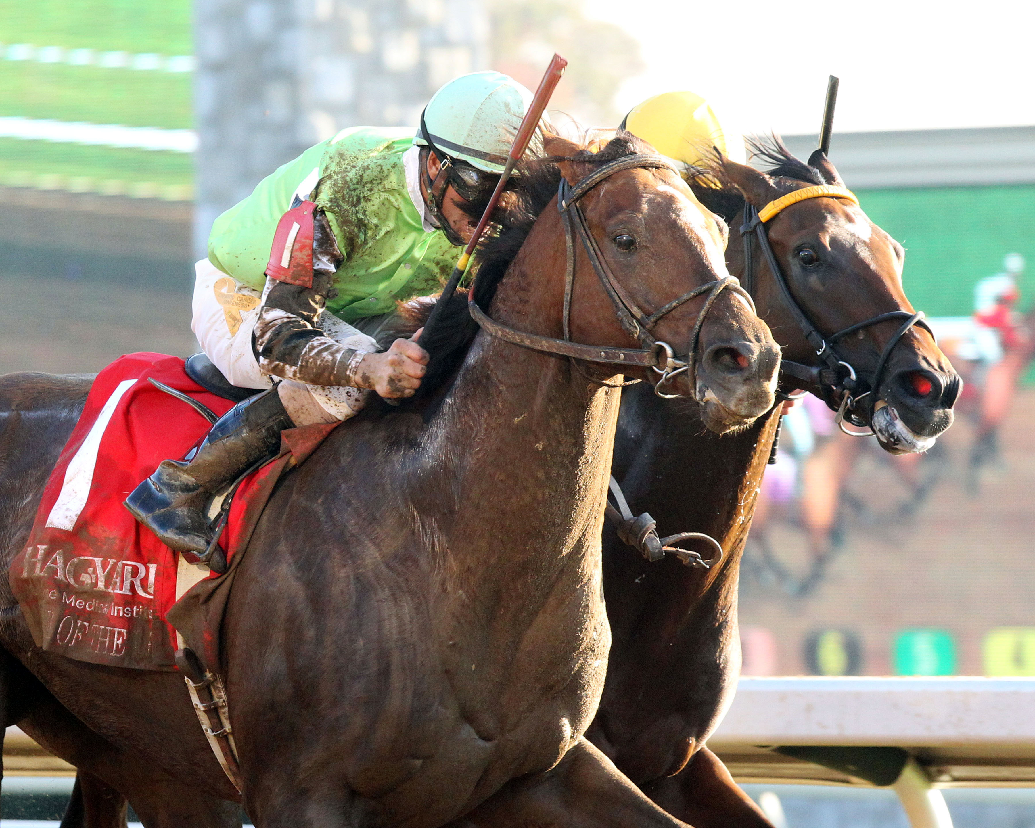 Pick of the Litter wins the Fayette