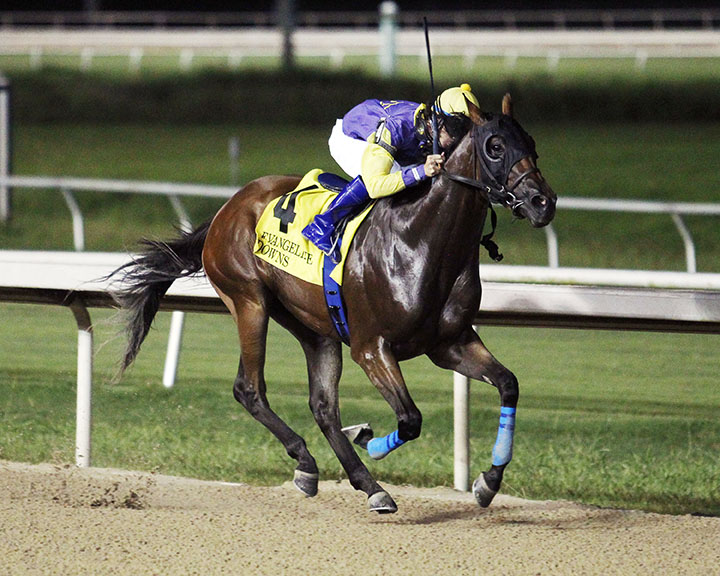 Pickett wins the D.S. "Shine" Young Futurity, colt division