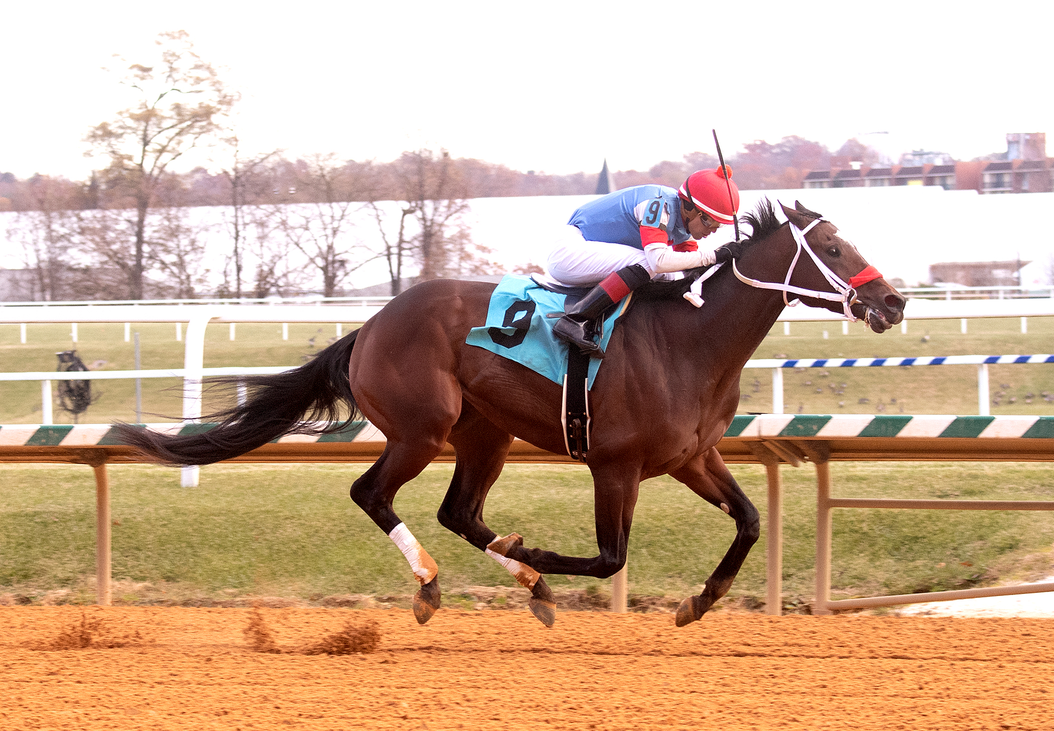 Pickin Time wins City of Laurel 11-27-2021