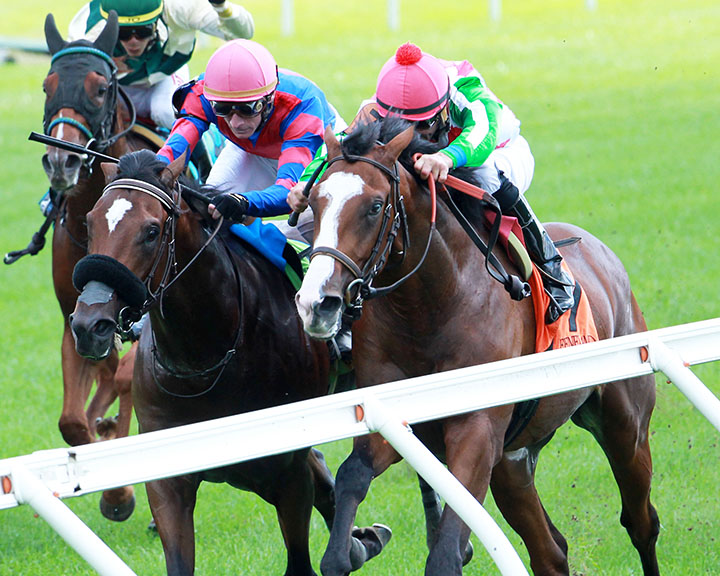 Pico Entry wins an Oct. 5 maiden race at Keeneland