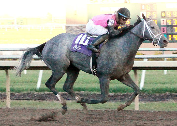 Piedi Bianchi wins the 2018 Frances Slocum Stakes