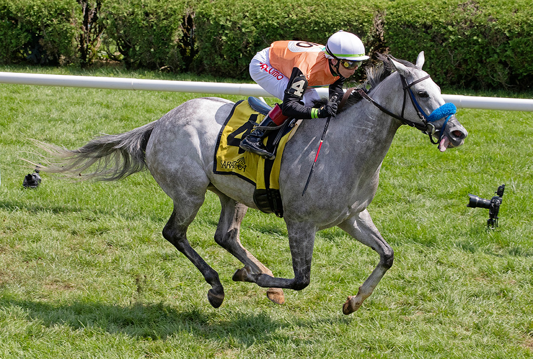 Piedi Bianchi wins the 2021 Smart N Fancy Stakes at Saratoga Race Course