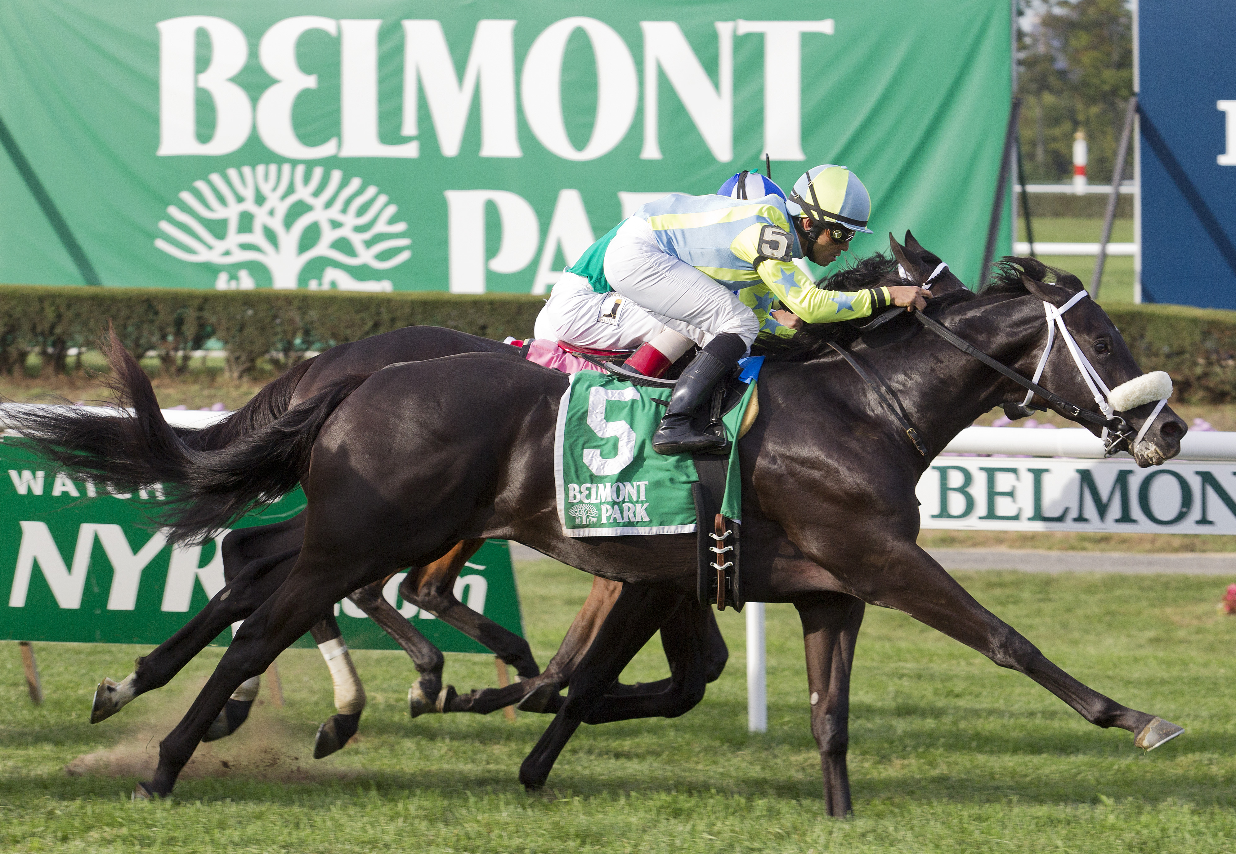 Isotherm wins 2015 Pilgrim