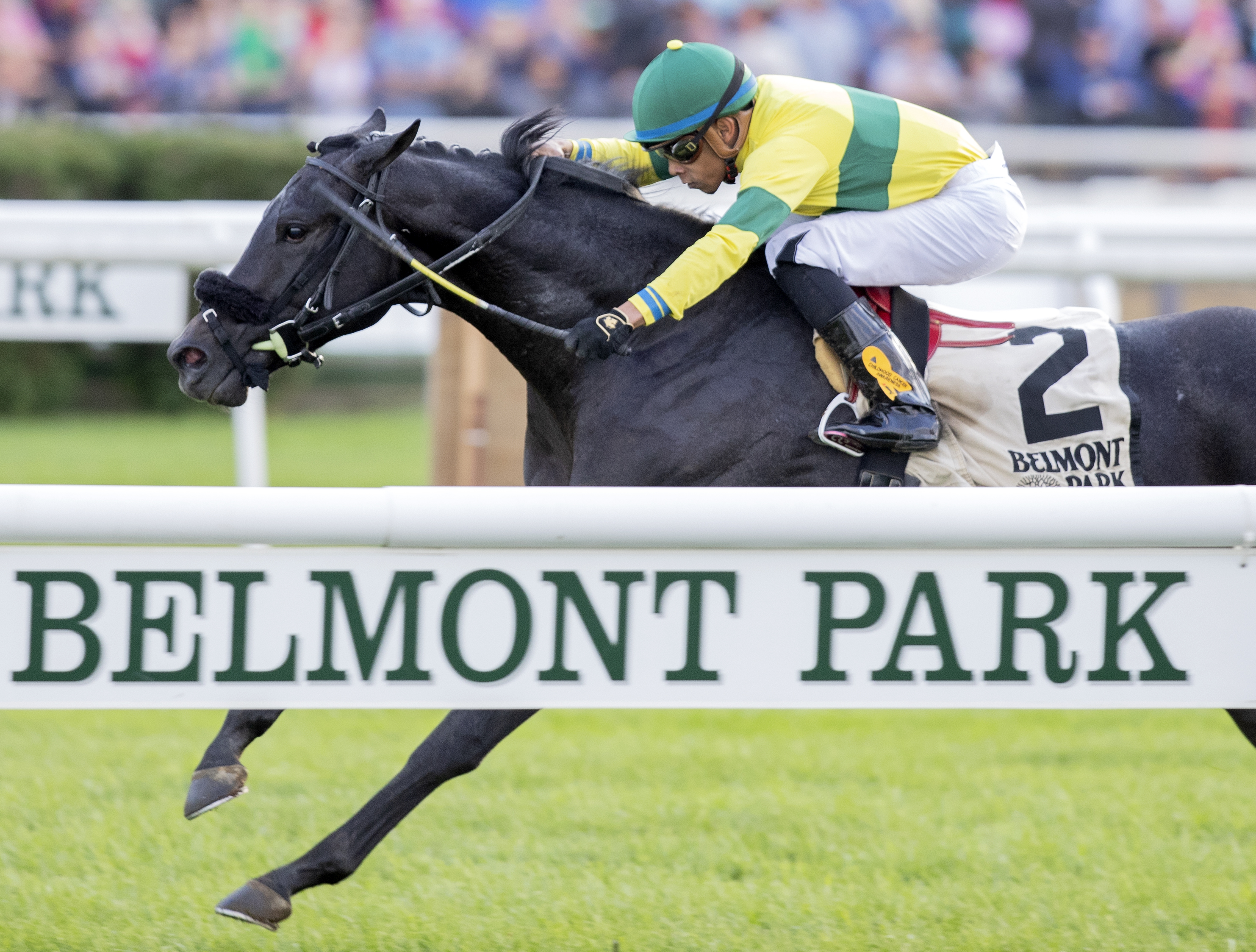 Forty Under wins the 2018 Pilgrim Stakes