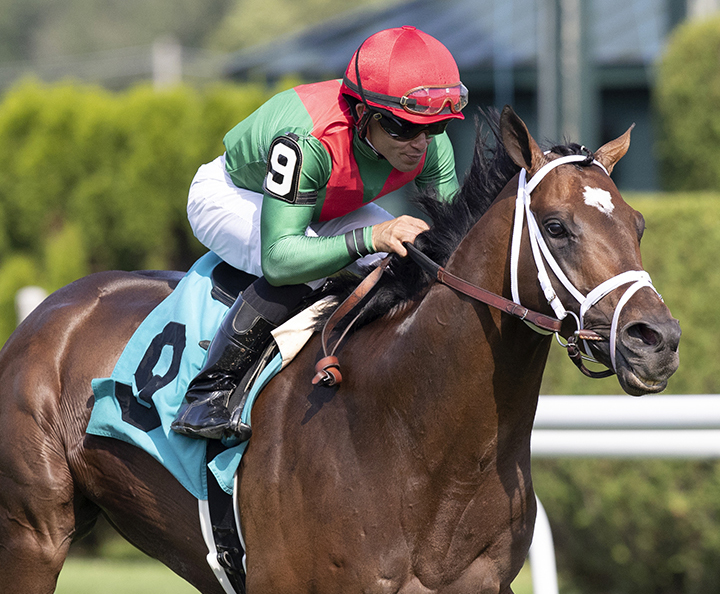 Pillar Mountain wins a July 19 allowance race at Saratoga Race Course
