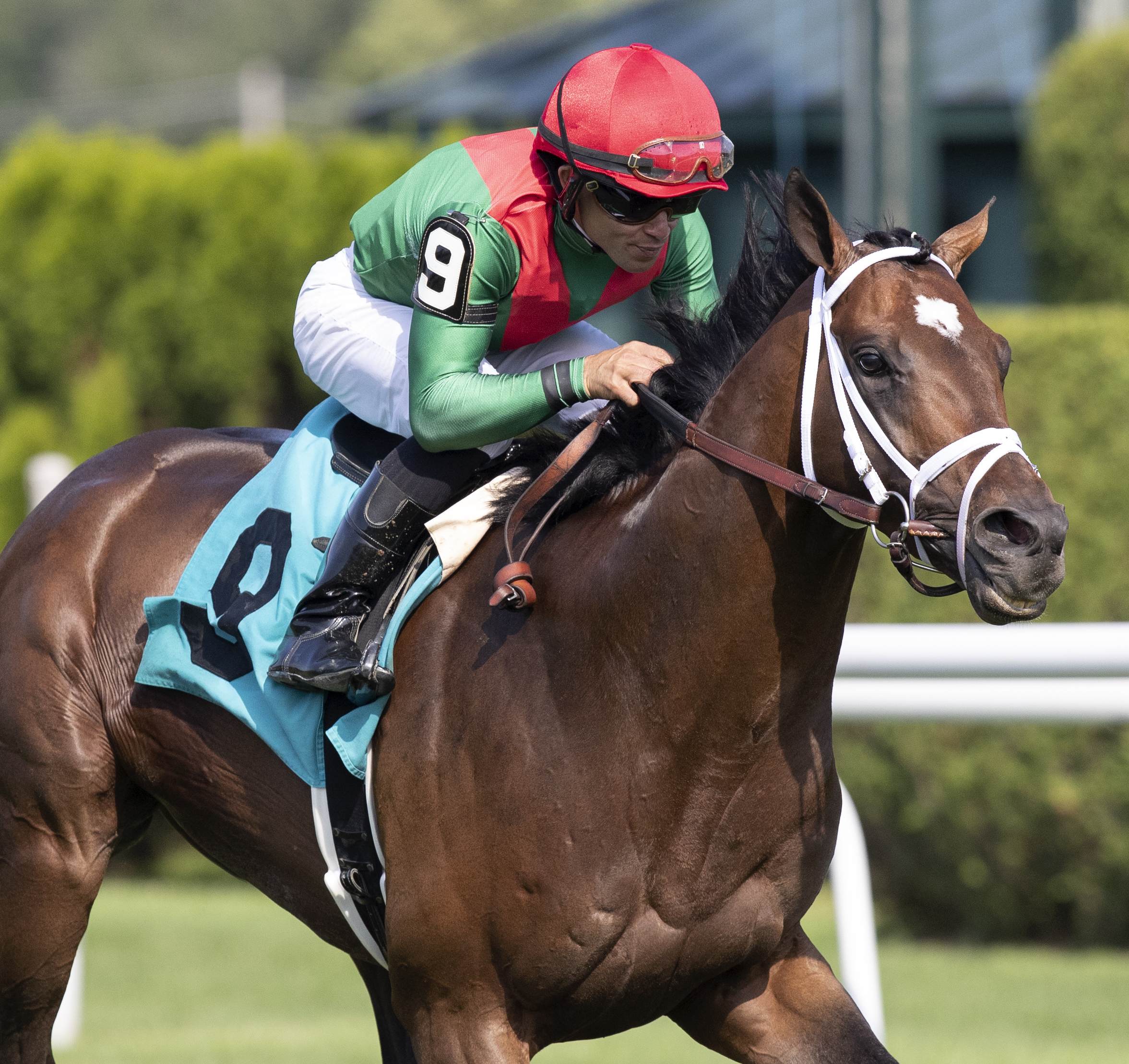 Pillar Mountain wins Saratoga optional-claiming race 7-19-2019.BL
