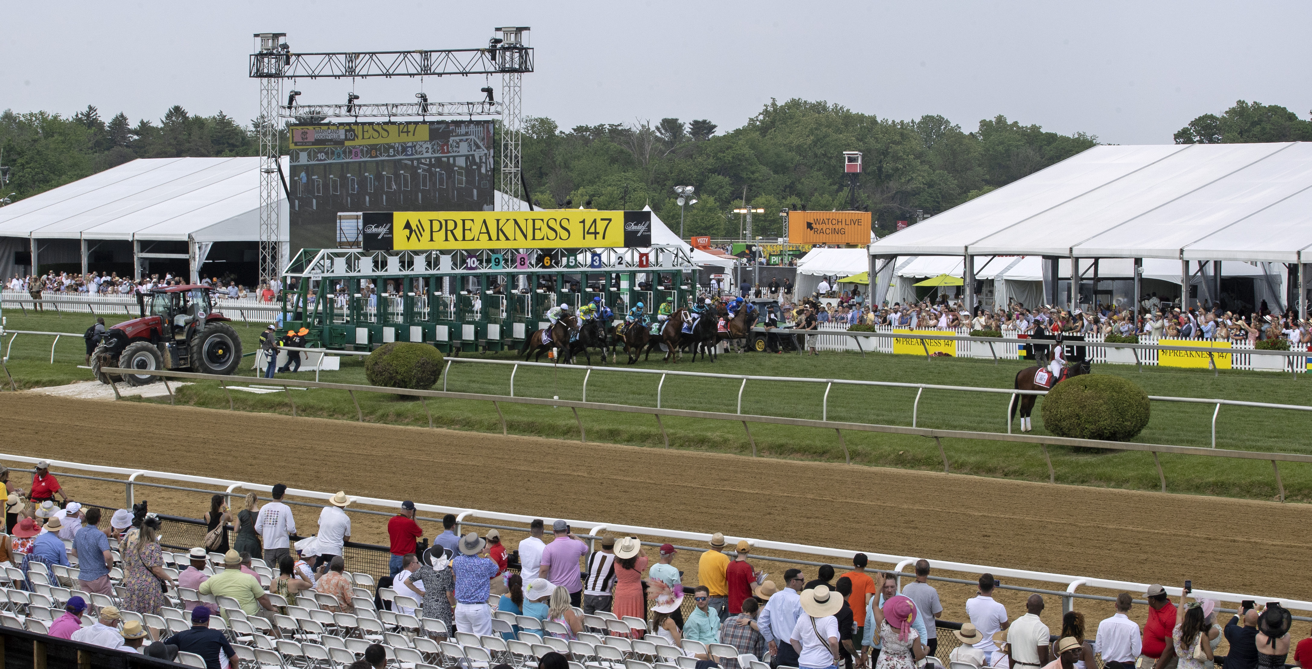 Pimlico business generic photo 5-21-2022