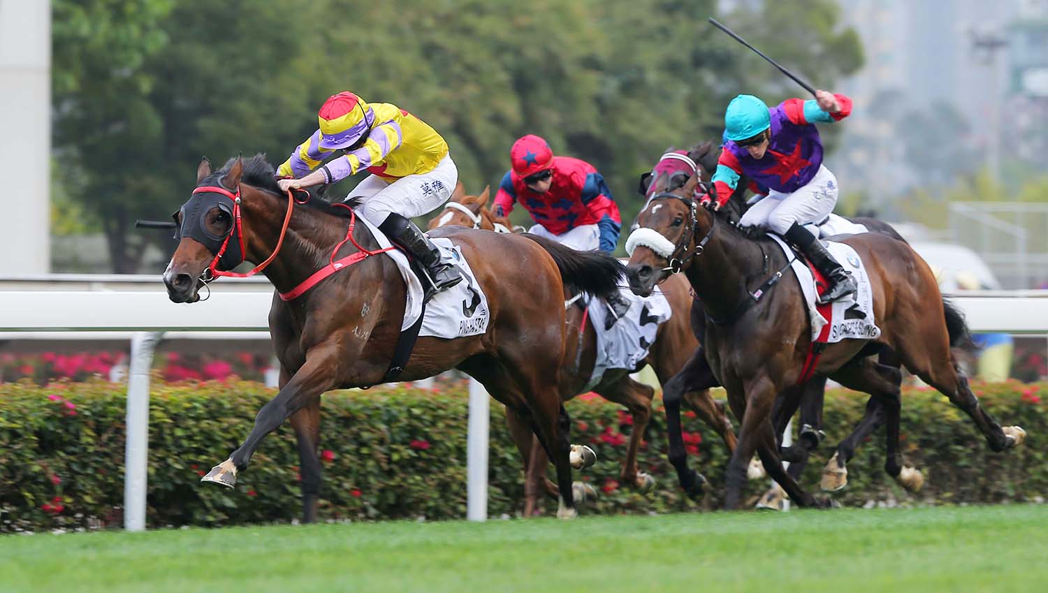 Ping Hai Star wins the Hong Kong Derby