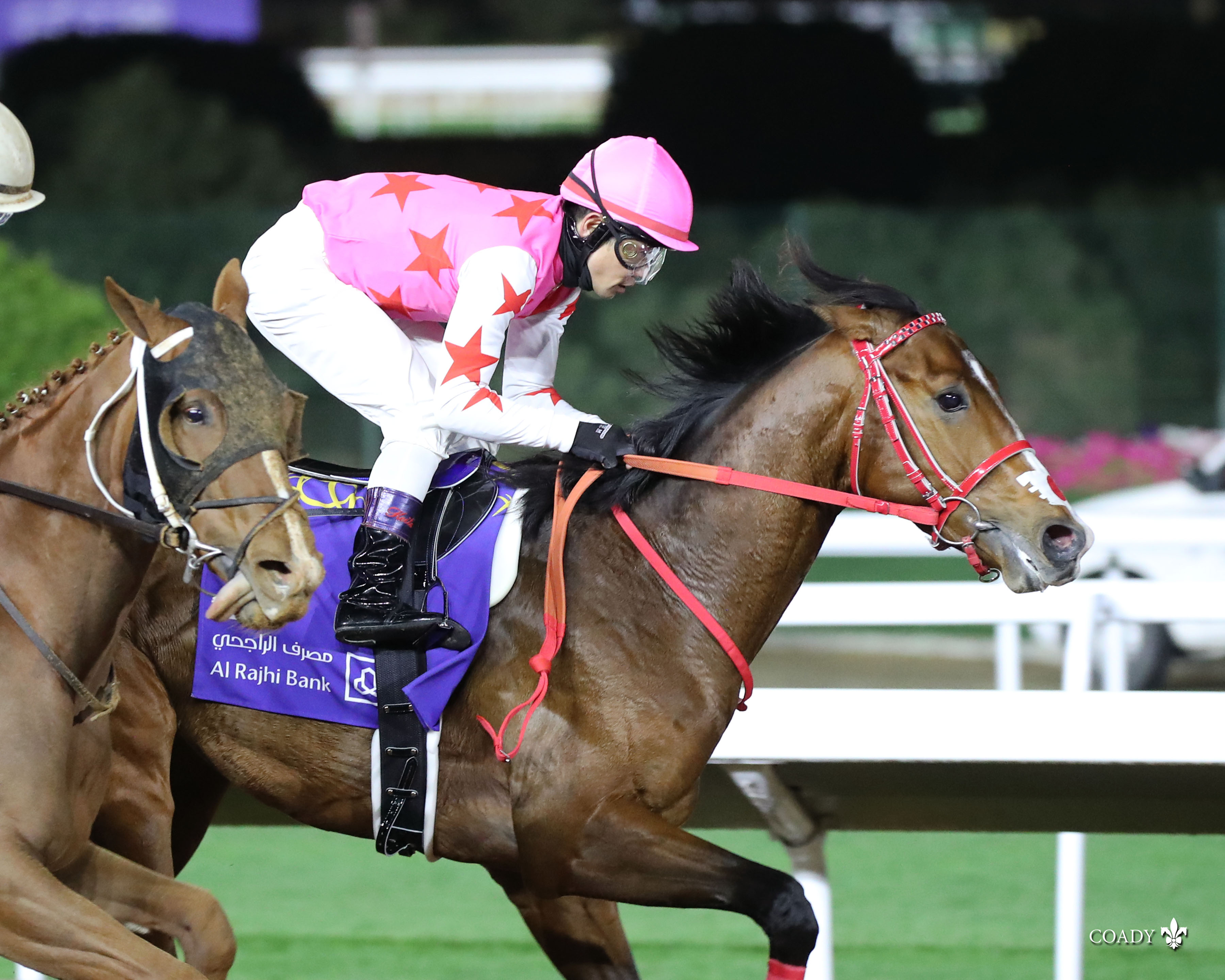 Pink Kamehameha wins Saudi Derby 2-20-2021