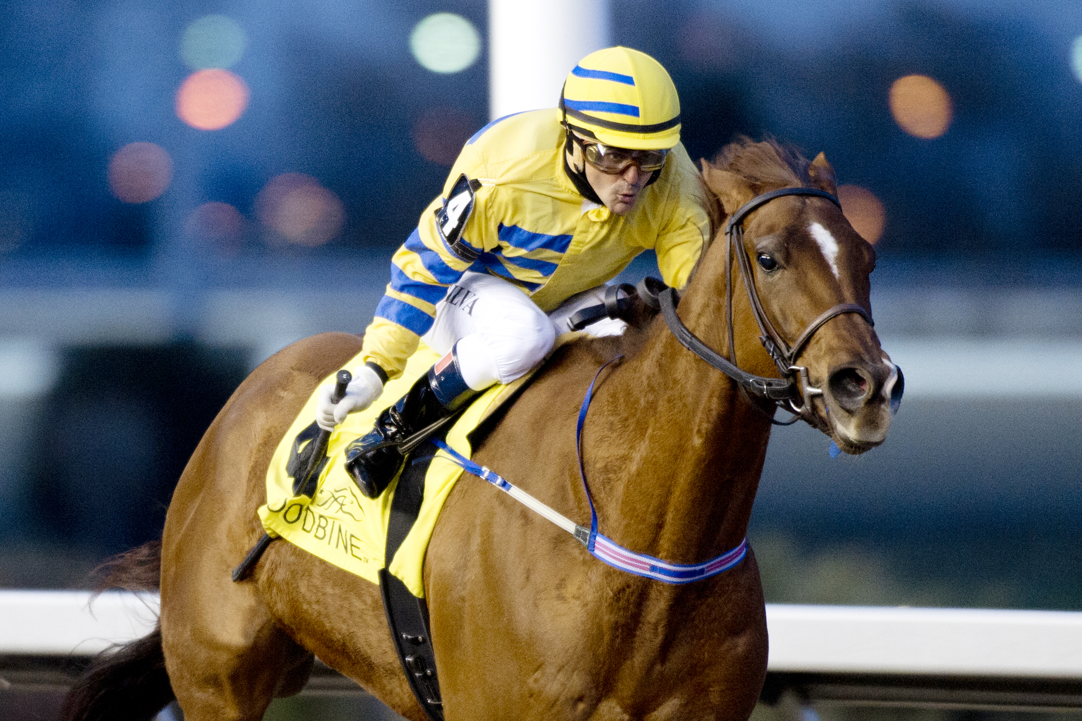 Pink Lloyd wins the Kennedy Road Stakes