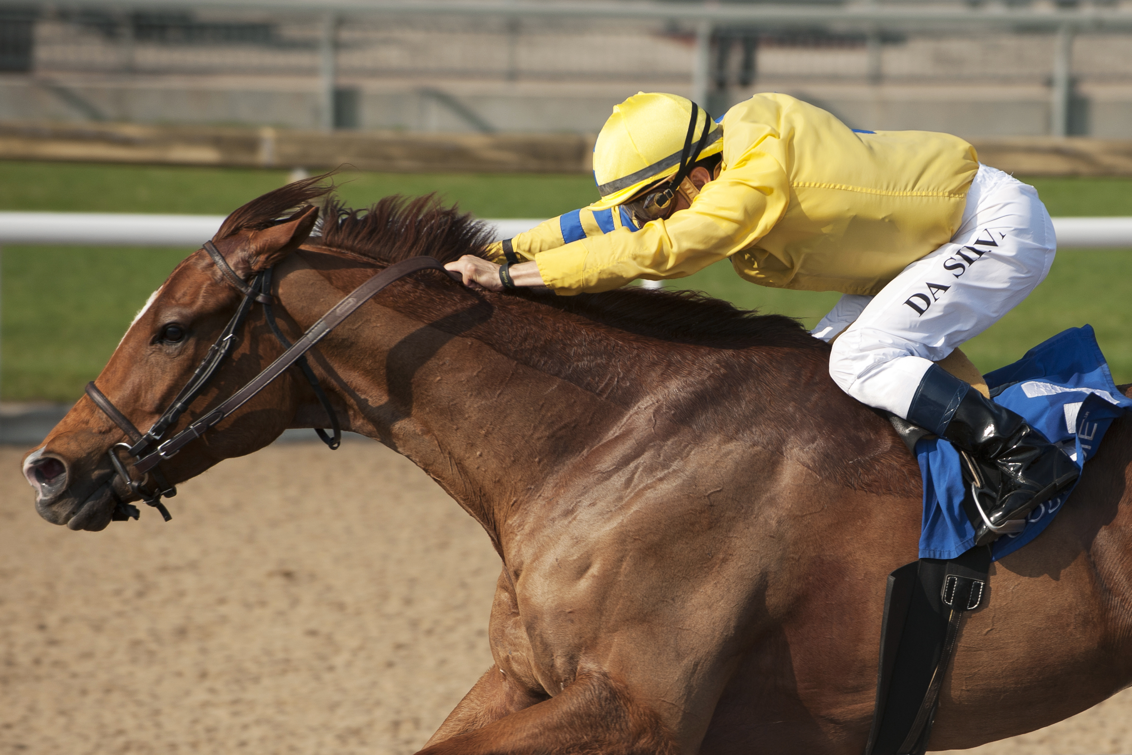 Pink Lloyd wins the Jacques Cartier Stakes