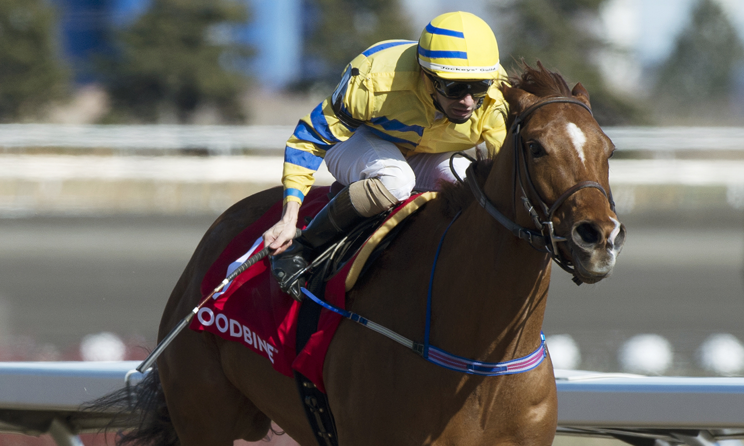 Pink Lloyd wins the 2018 Jacques Cartier Stakes