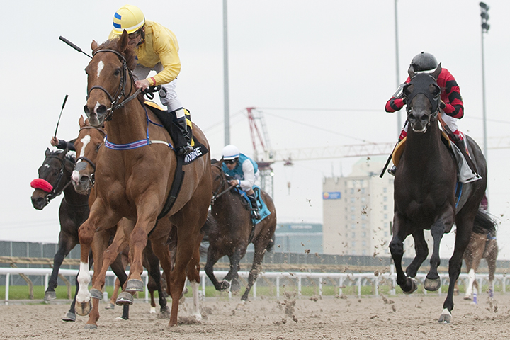 Pink Lloyd wins the 2019 Jacques Cartier Stakes