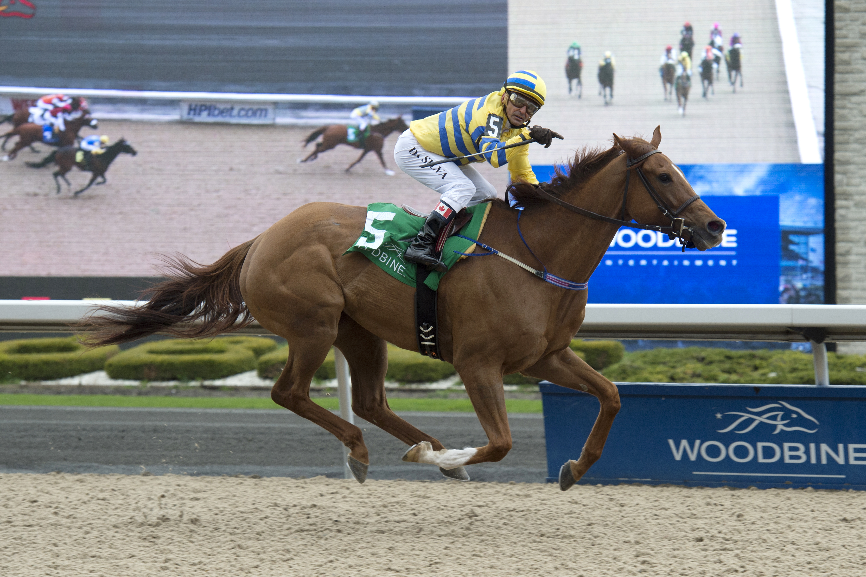 Pink Lloyd wins the New Providence Stakes