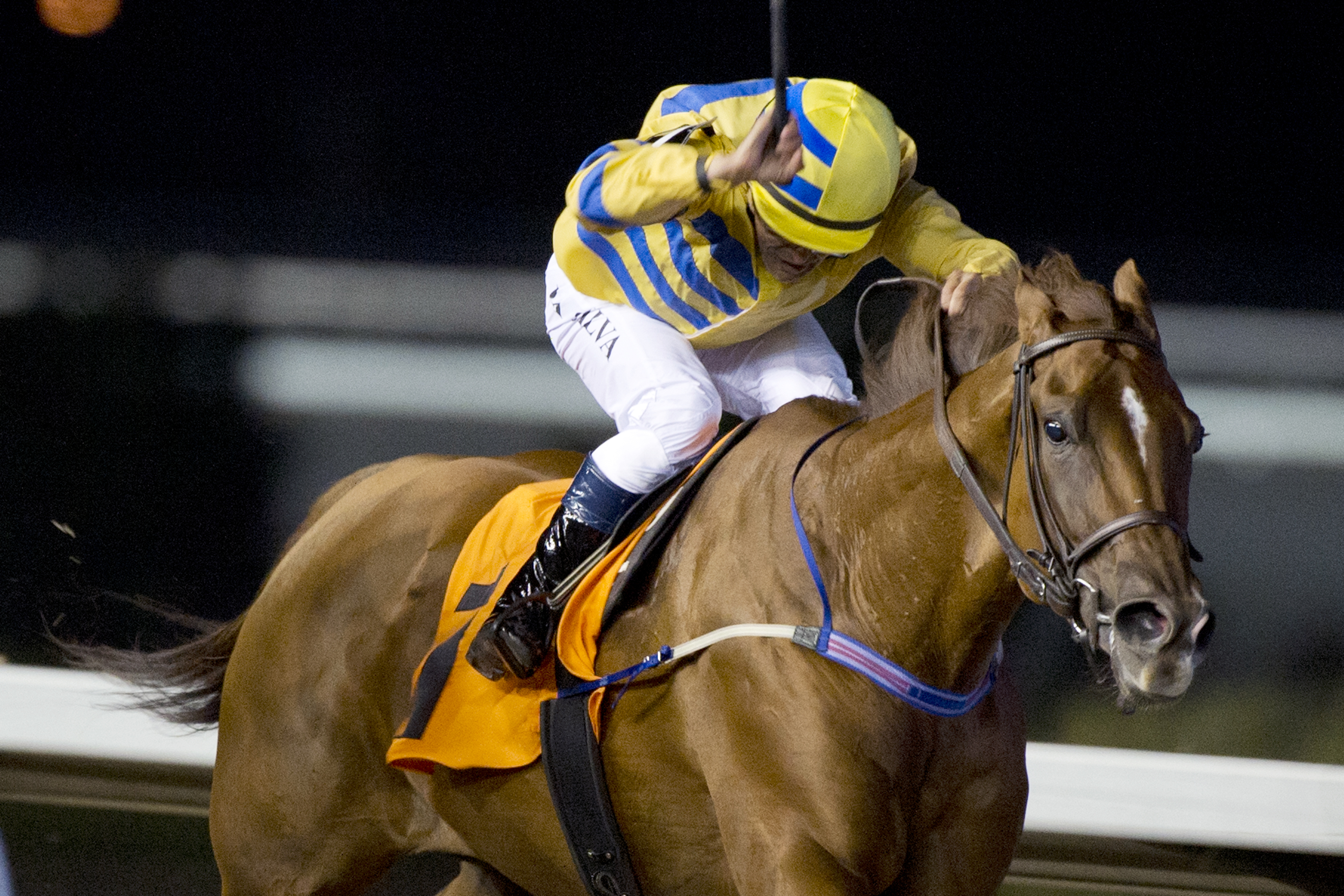 Pink Lloyd wins the Kenora Stakes