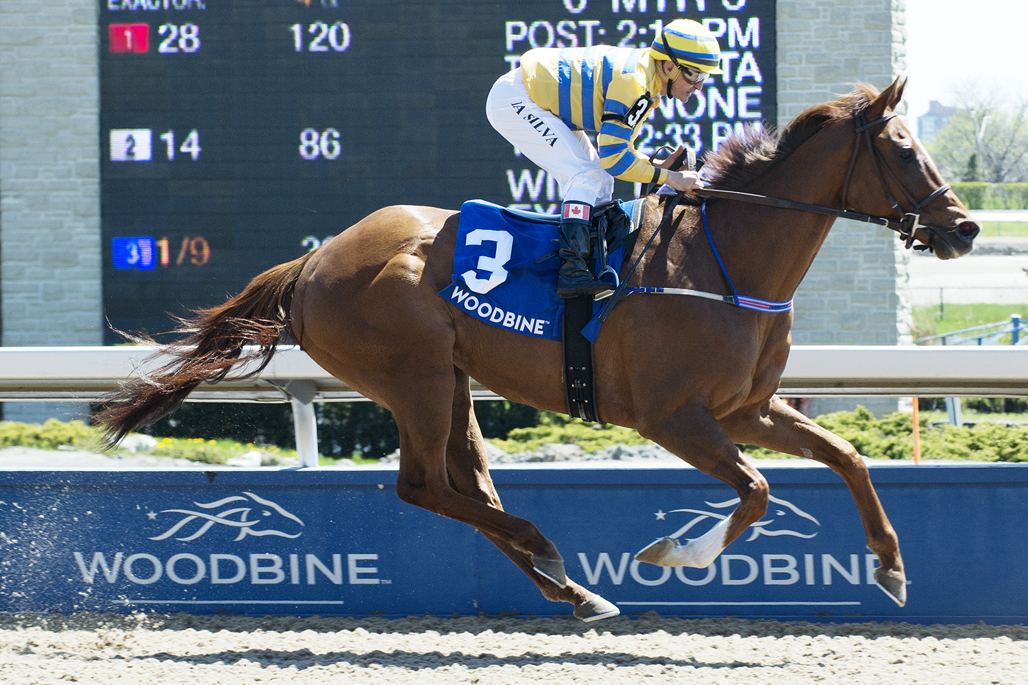 Pink Lloyd wins the New Providence Stakes