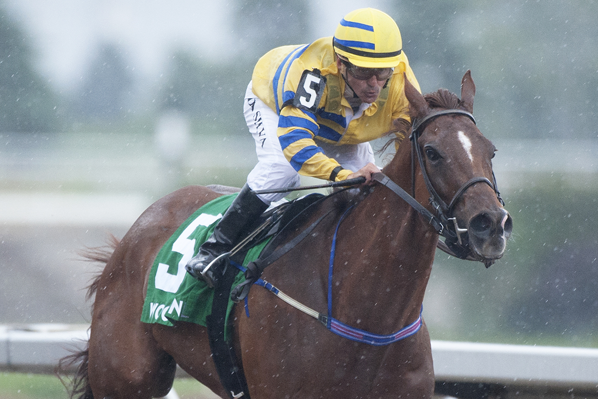 Pink Lloyd wins the 2018 Achievement Stakes
