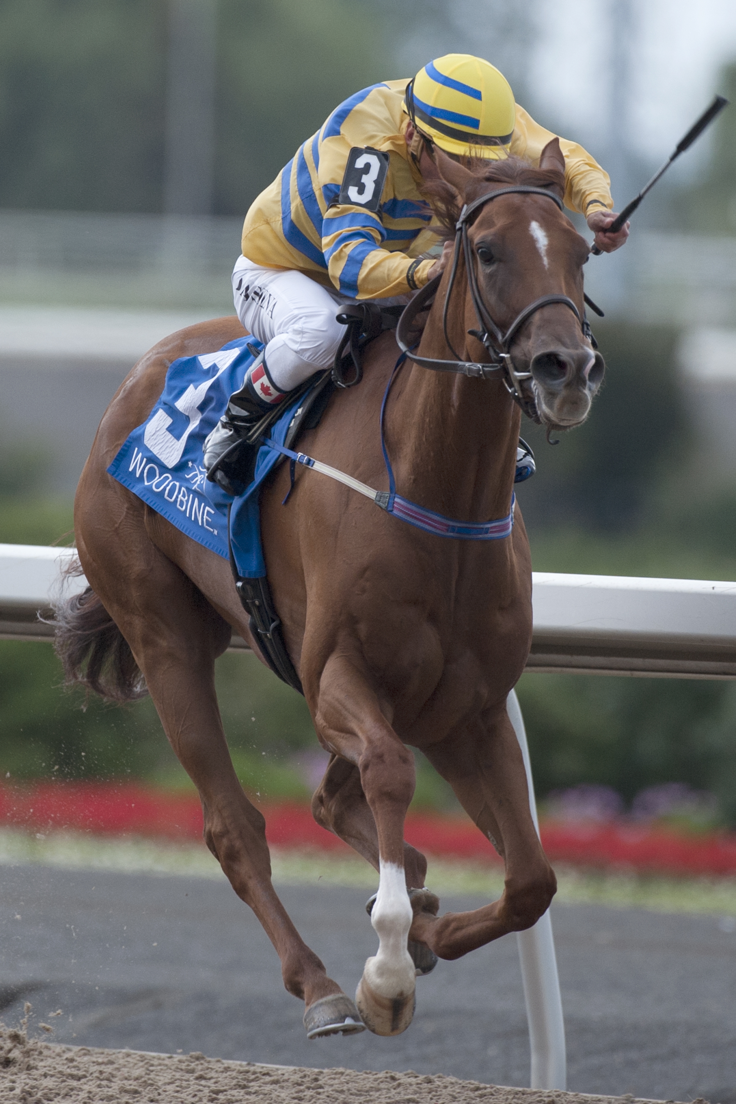 Pink Lloyd wins the Grade 3 Vigil Stakes at Woodbine 7.16.17_MB