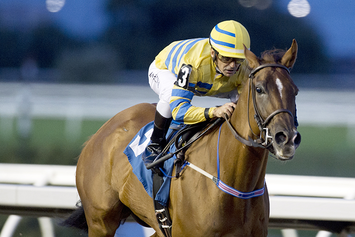 Pink Lloyd wins the 2019 Kenora Stakes at Woodbine