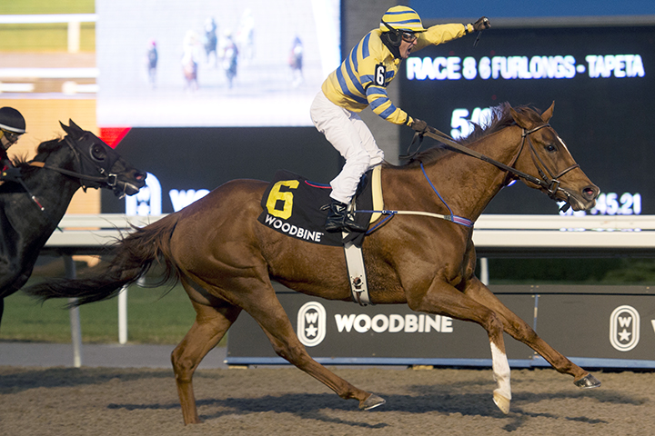 Pink Lloyd wins the 2019 Kennedy Road Stakes at Woodbine Racetrack