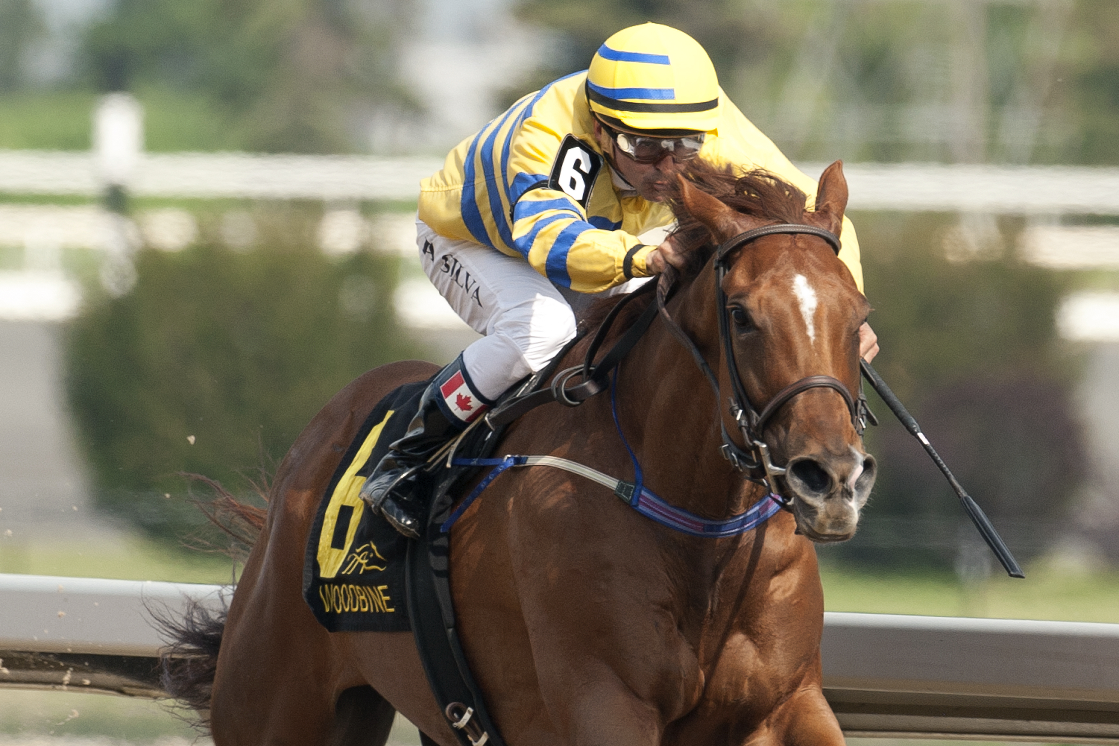 Pink Lloyd wins the Achievement Stakes