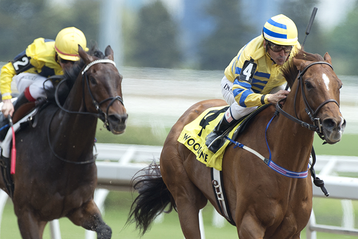 Pink Lloyd wins the 2019 Greenwood Stakes at Woodbine