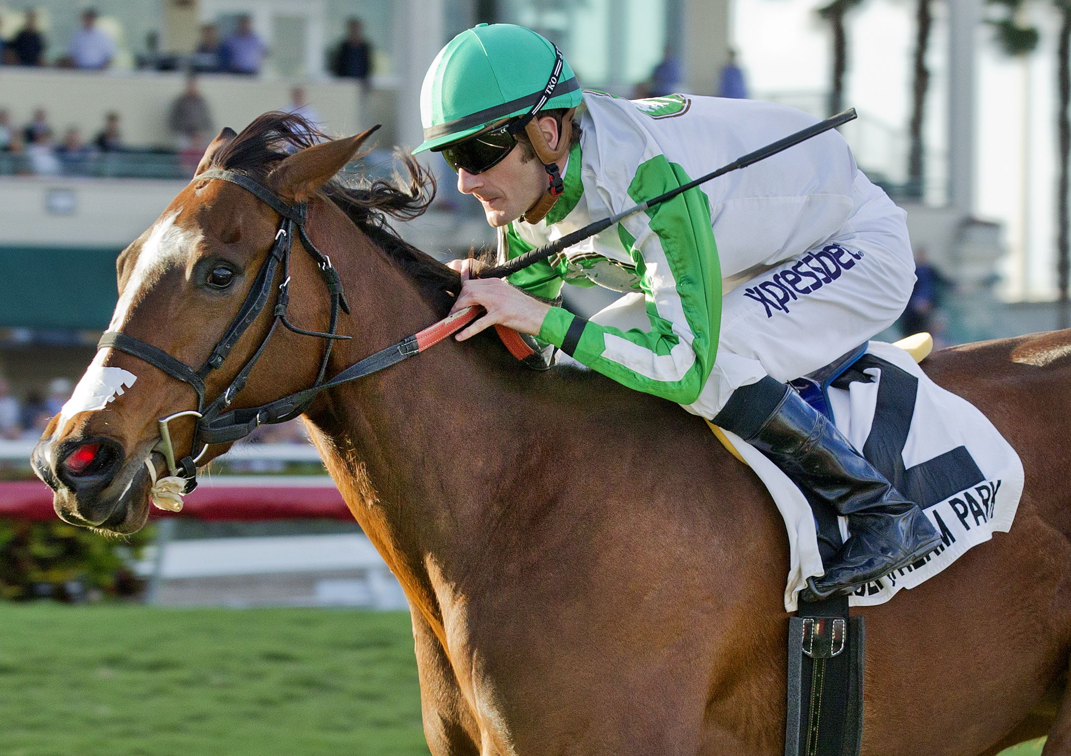 Pink Poppy wins 2015 Sunshine Millions F-M Turf
