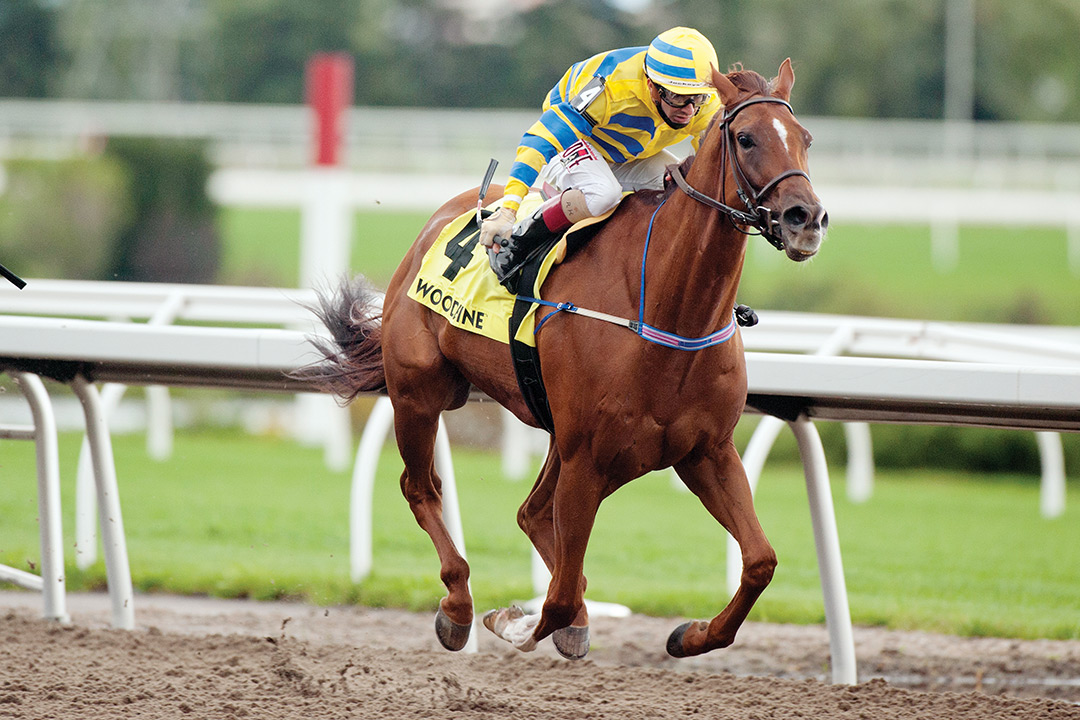 Pink Lloyd wins the 2021 Bold Venture Stakes at Woodbine