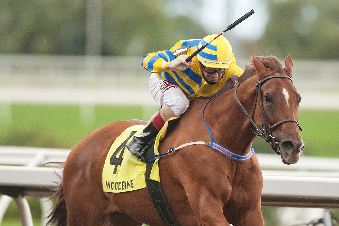Pink Lloyd wins the 2021 Bold Venture Stakes at Woodbine