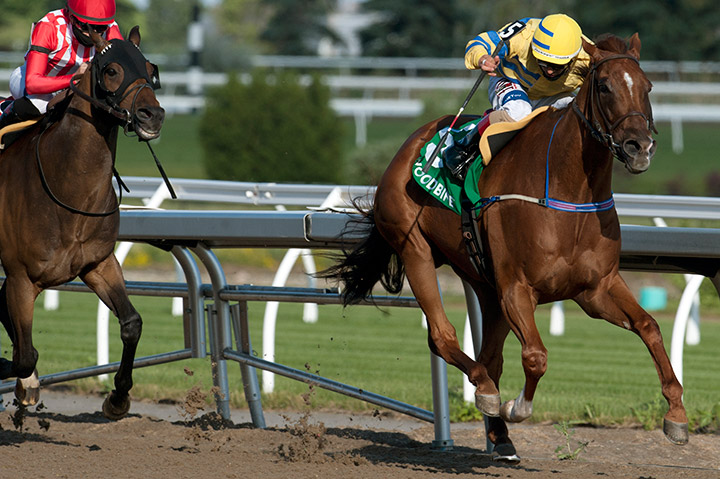 Pink Lloyd wins the 2020 Jacques Cartier Stakes at Woodbine