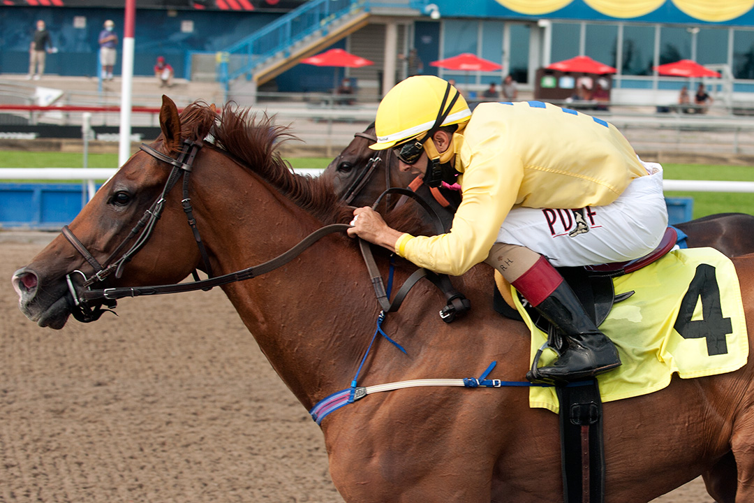 Pink Lloyd wins the 2020 Bold Venture Stakes at Woodbine