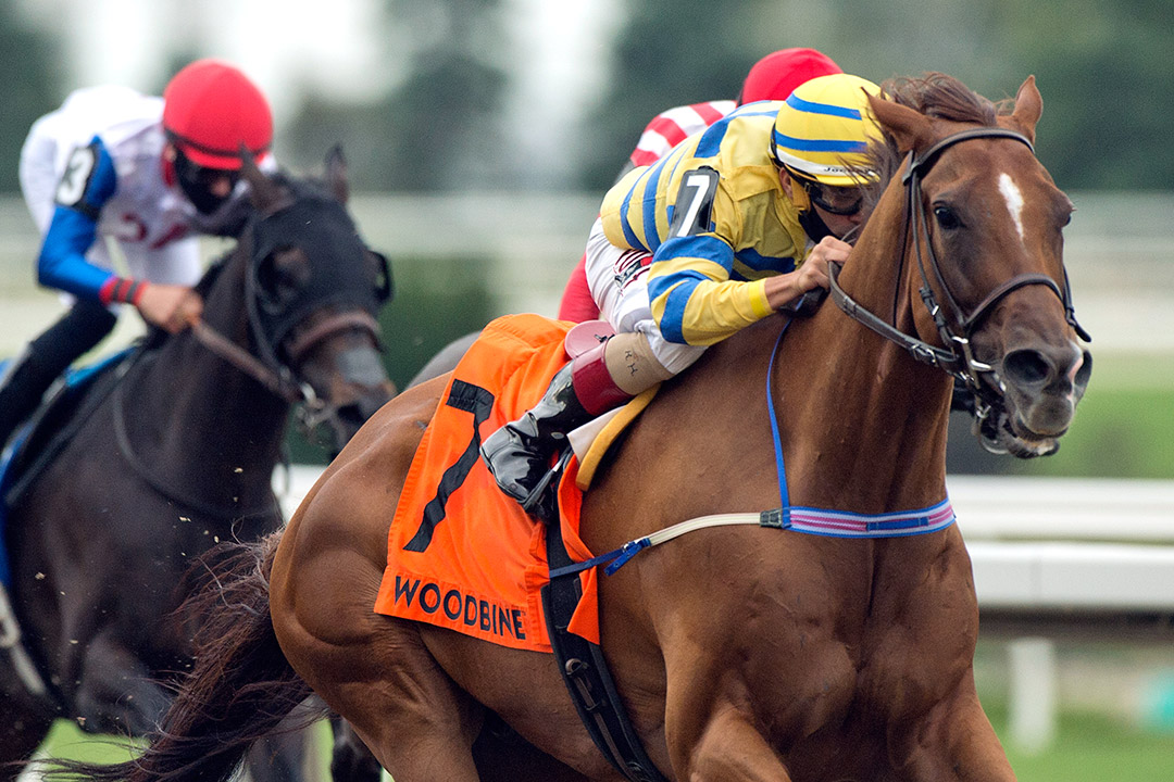 Pink Lloyd wins the 2020 Vigil Stakes at Woodbine