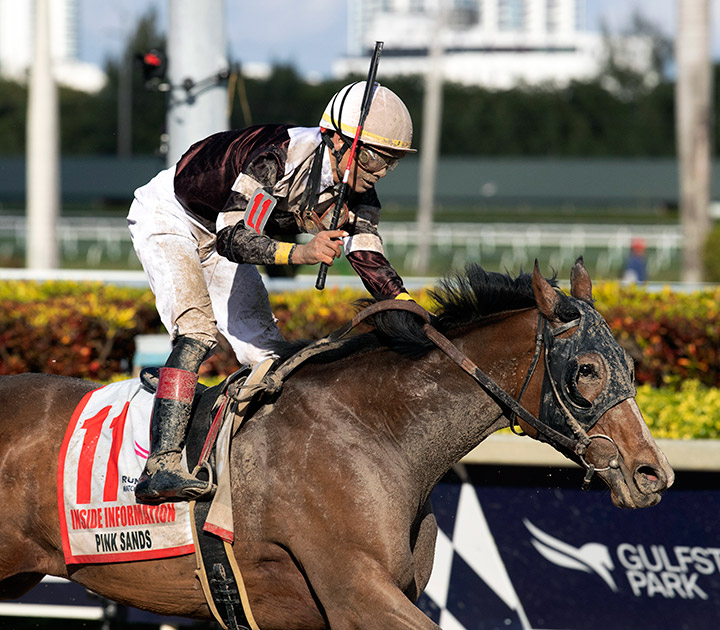 Pink Sands wins the 2020 Inside Information Stakes at Gulfstream Park