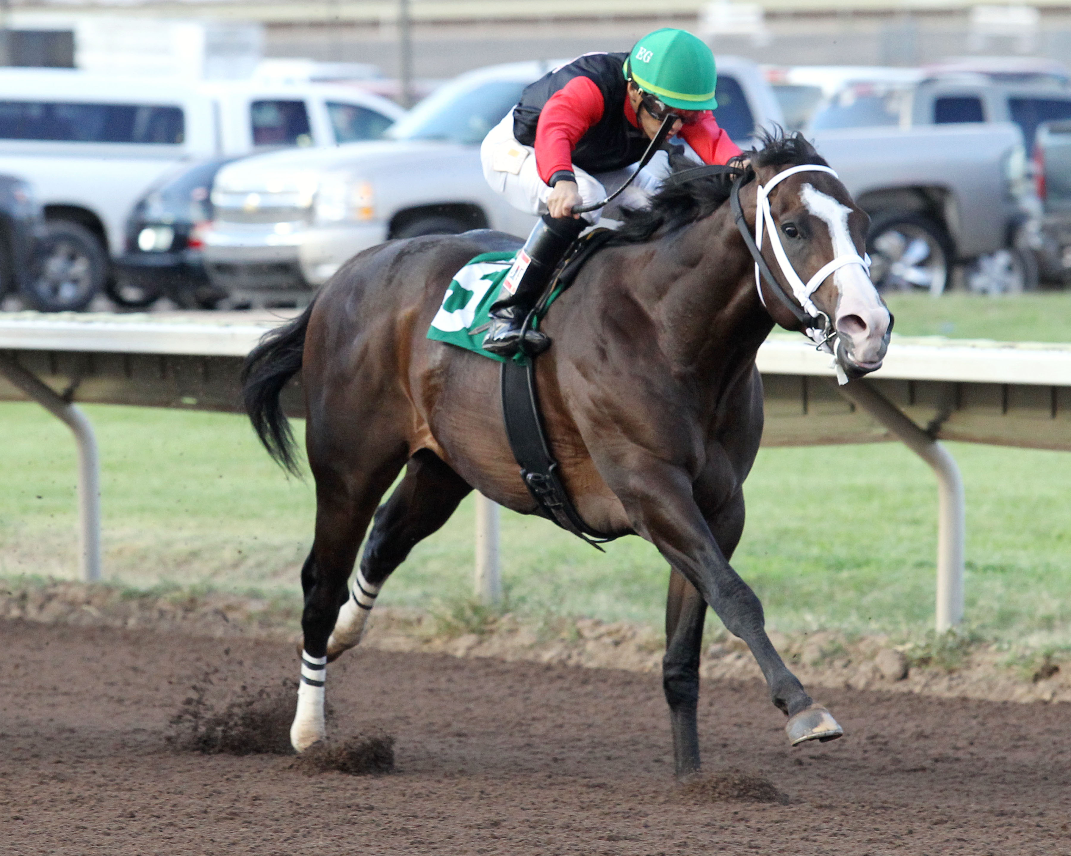 Pink Cotton wins the Duke City Sprint at The Downs at Albuquerque_7.29.17_CO