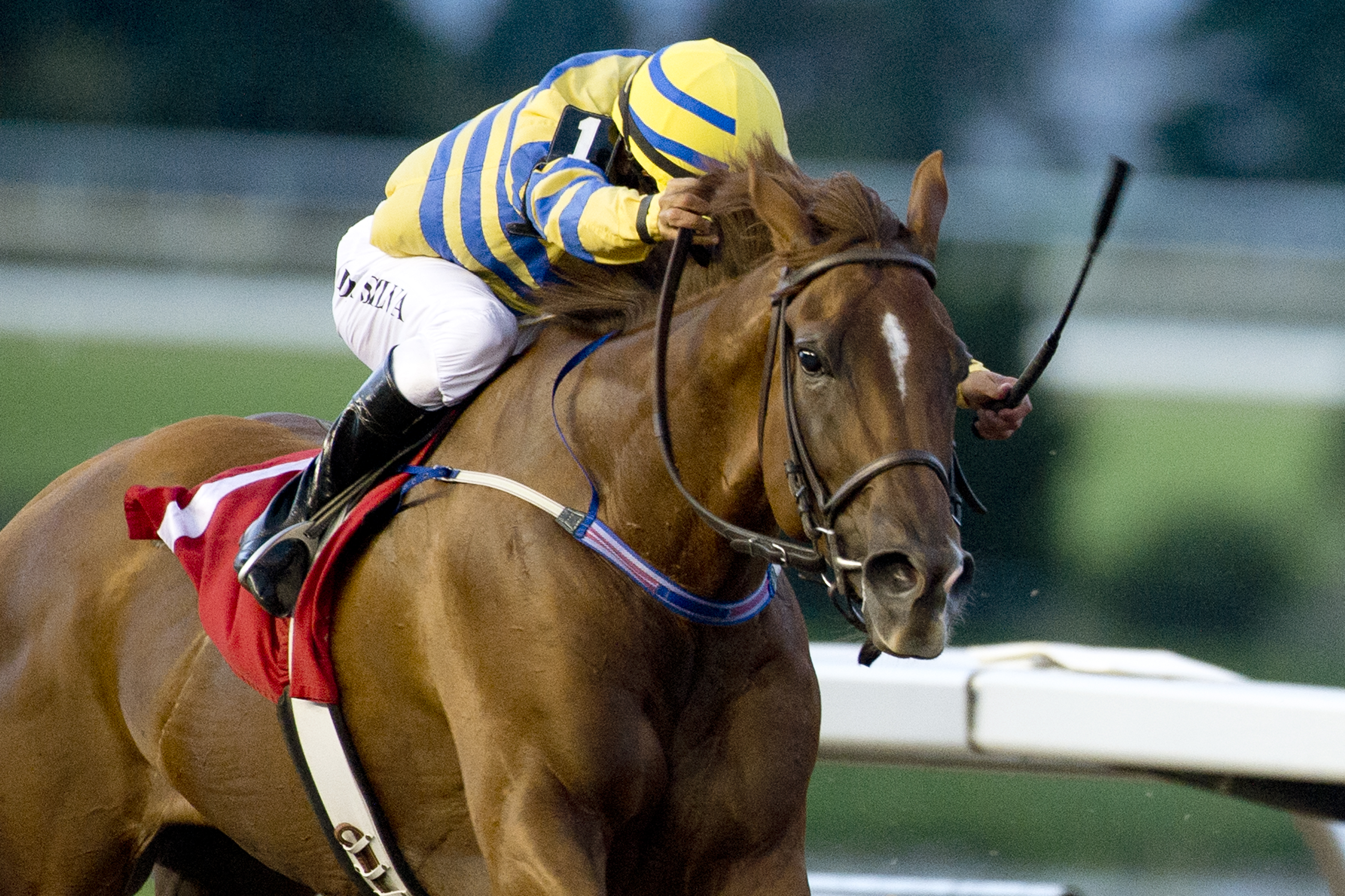 Pink Lloyd wins the 2018 Kenora Stakes