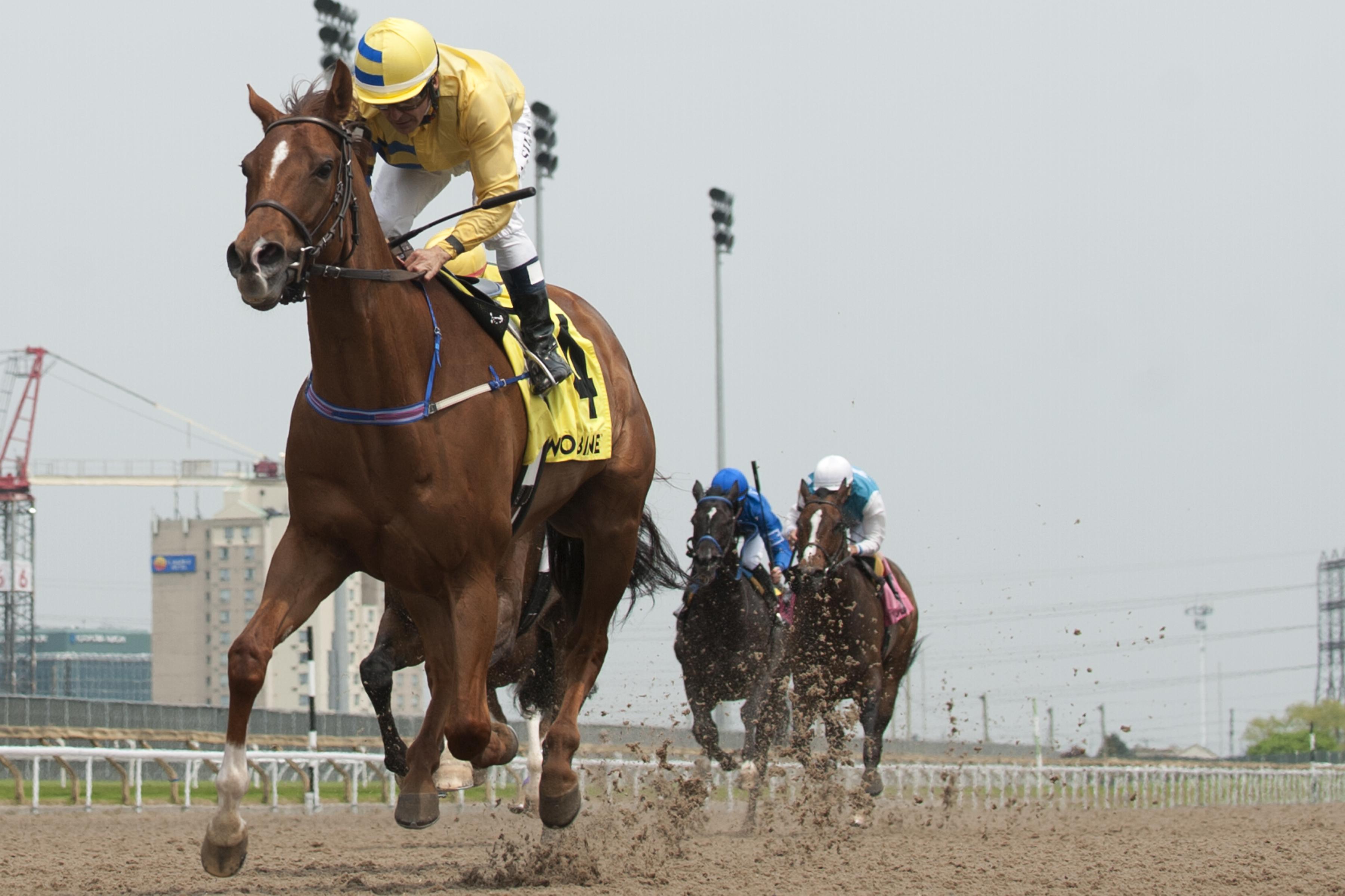 Pink Lloyd wins the 2019 Greenwood Stakes