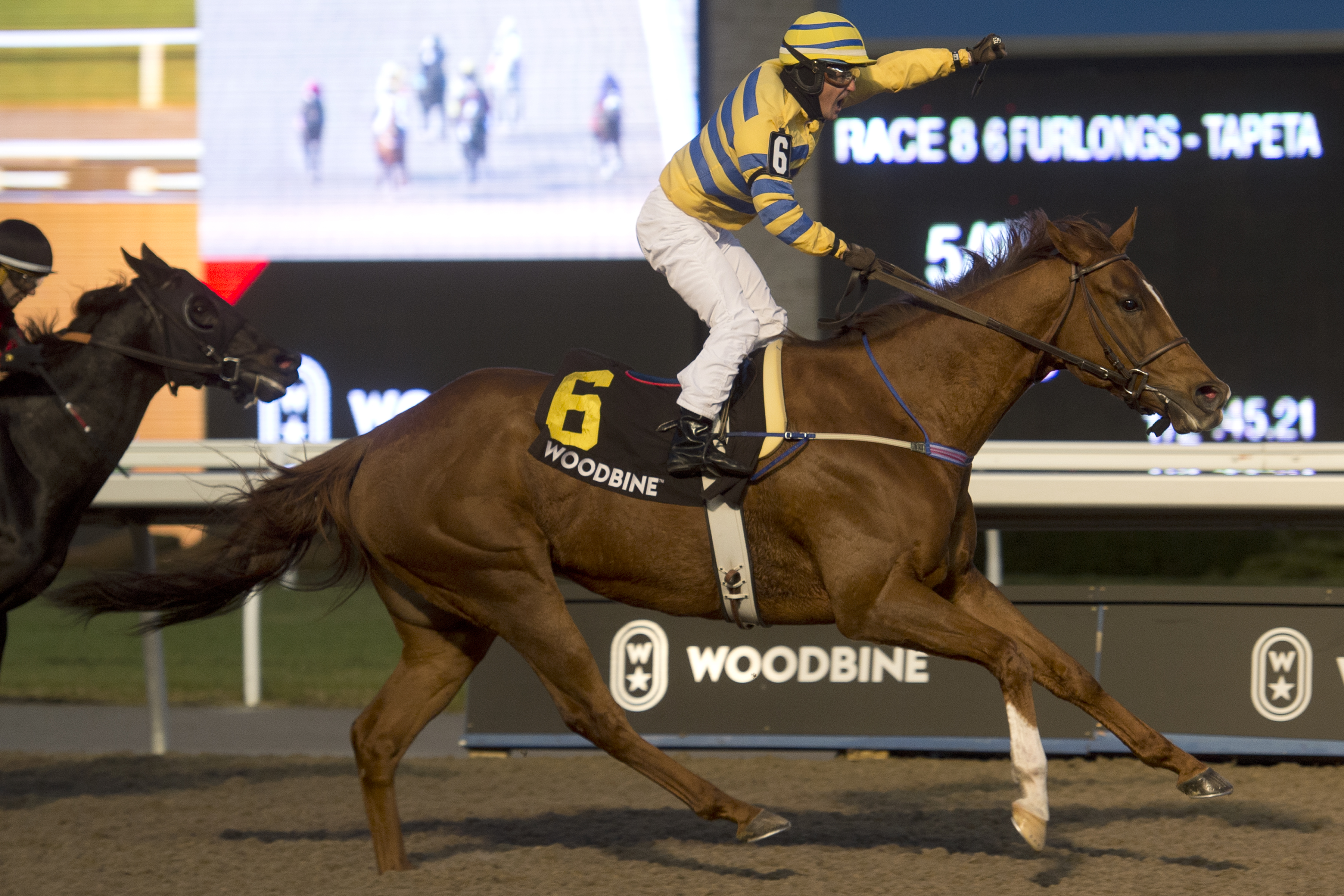 Pink Lloyd wins the 2019 Kennedy Road Stakes