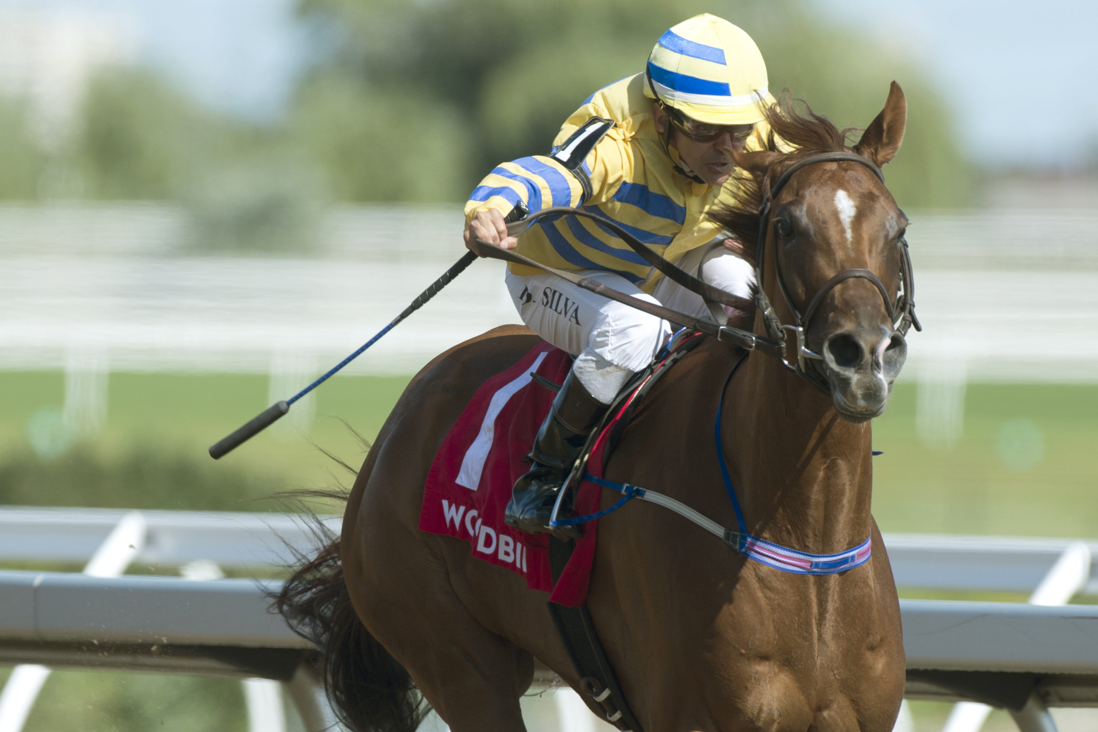 Pink Lloyd wins the 2019 Vigil Stakes