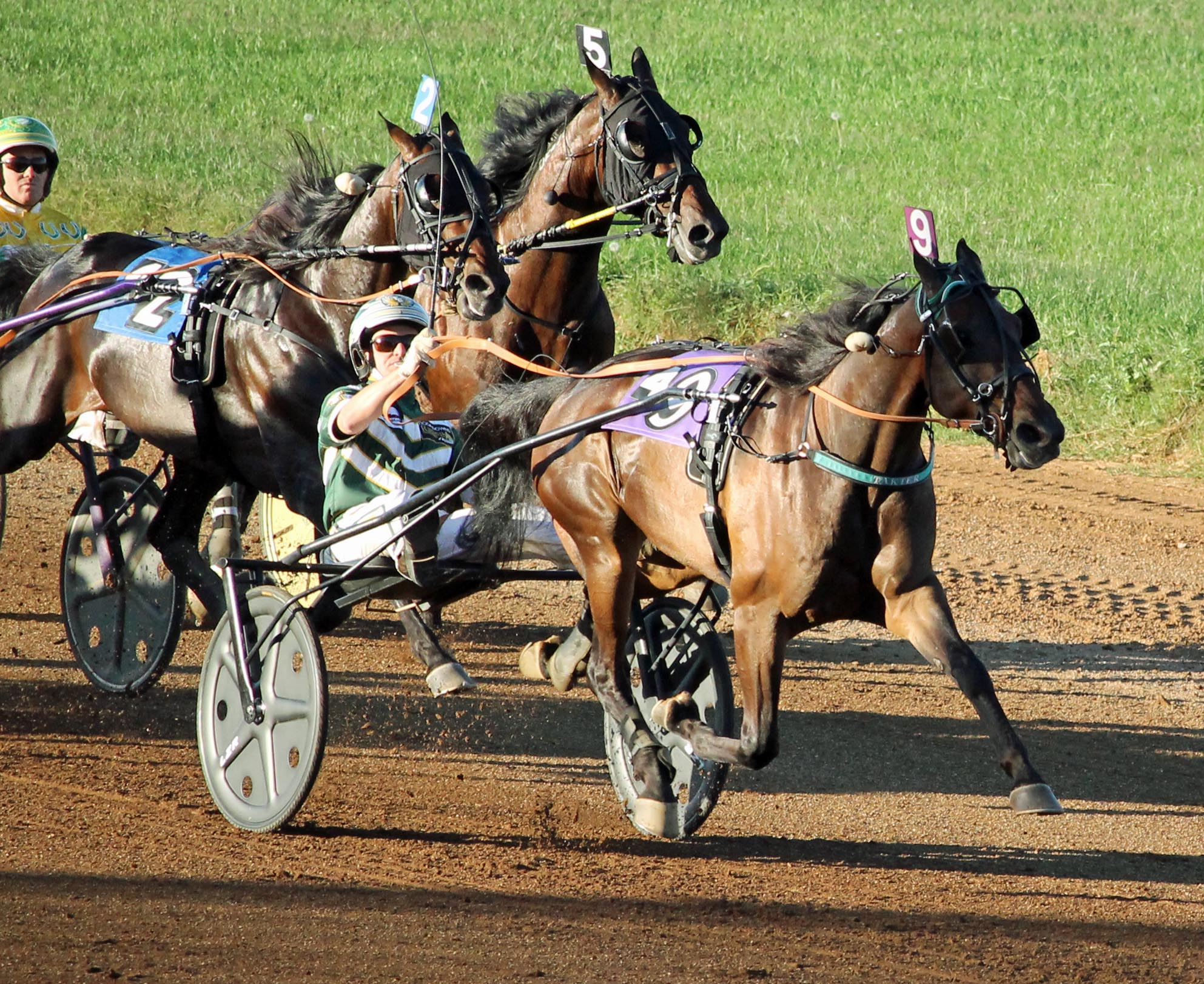 Pinkman_Kentucky Futurity